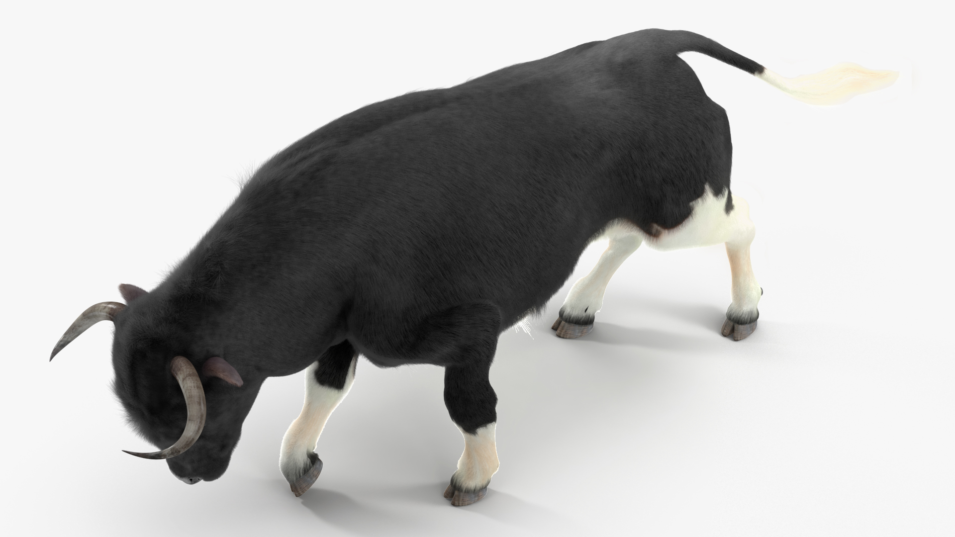 3D Black Bull Fur Rigged