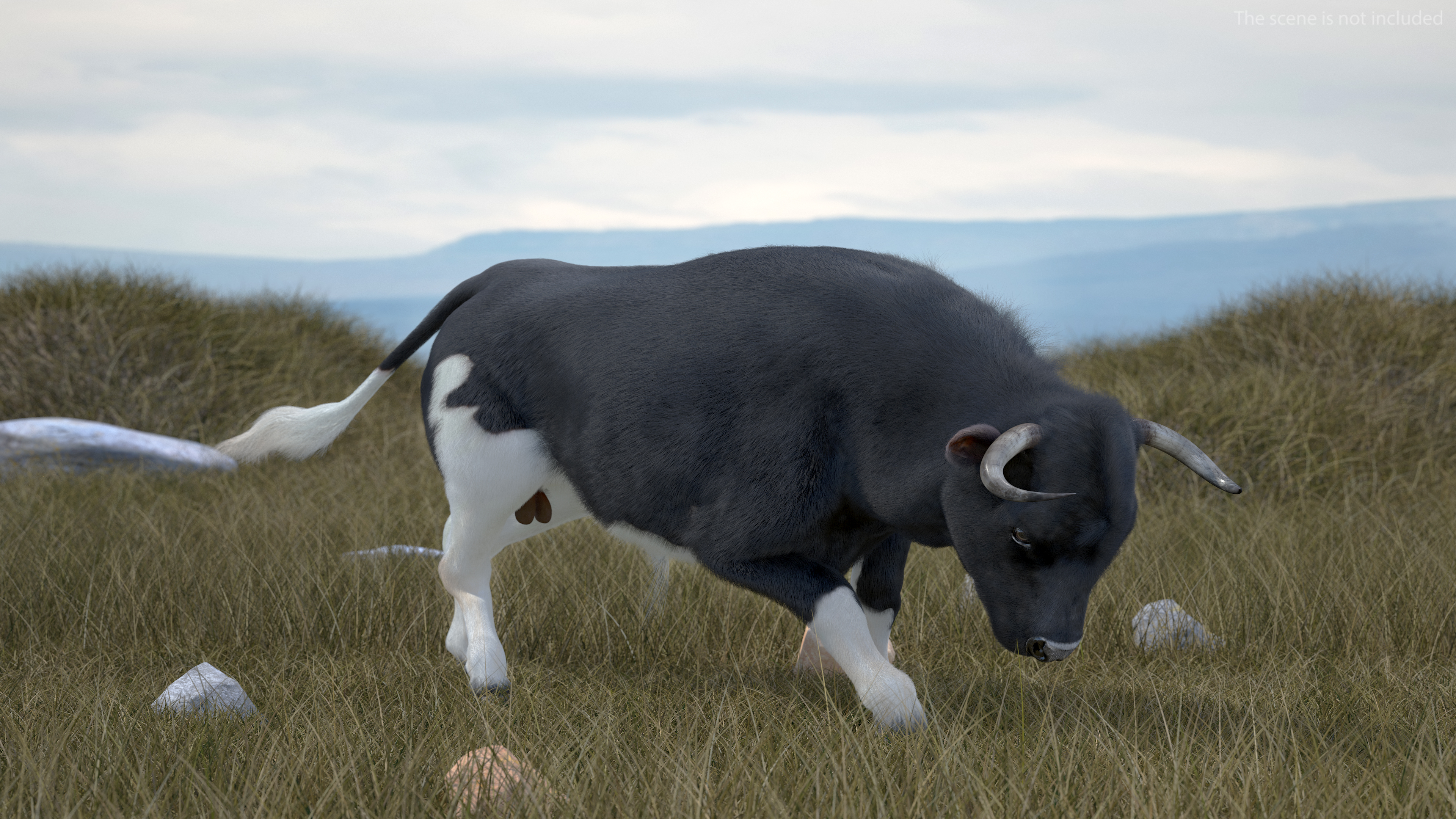 3D Black Bull Fur Rigged