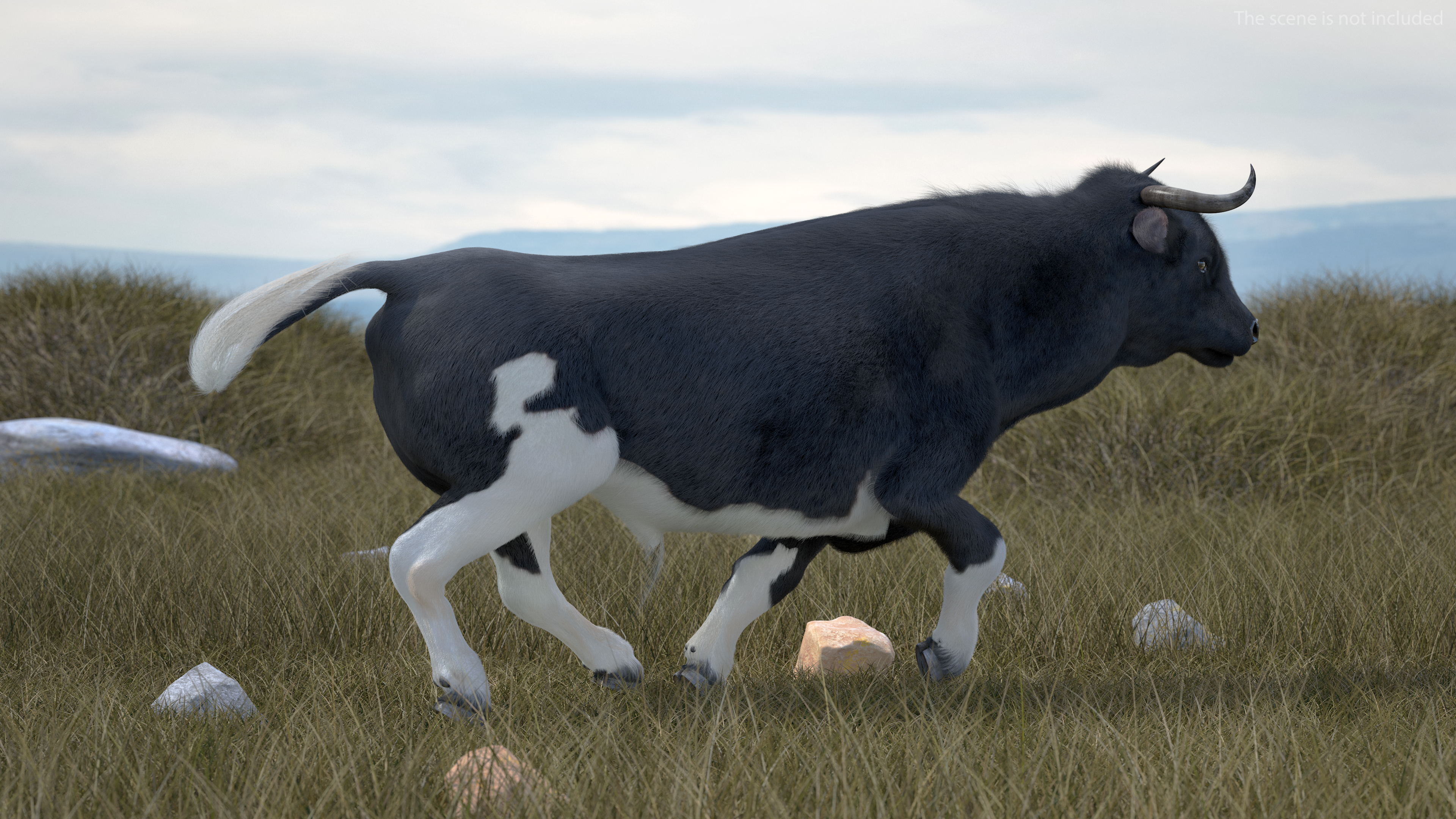 3D Black Bull Fur Rigged
