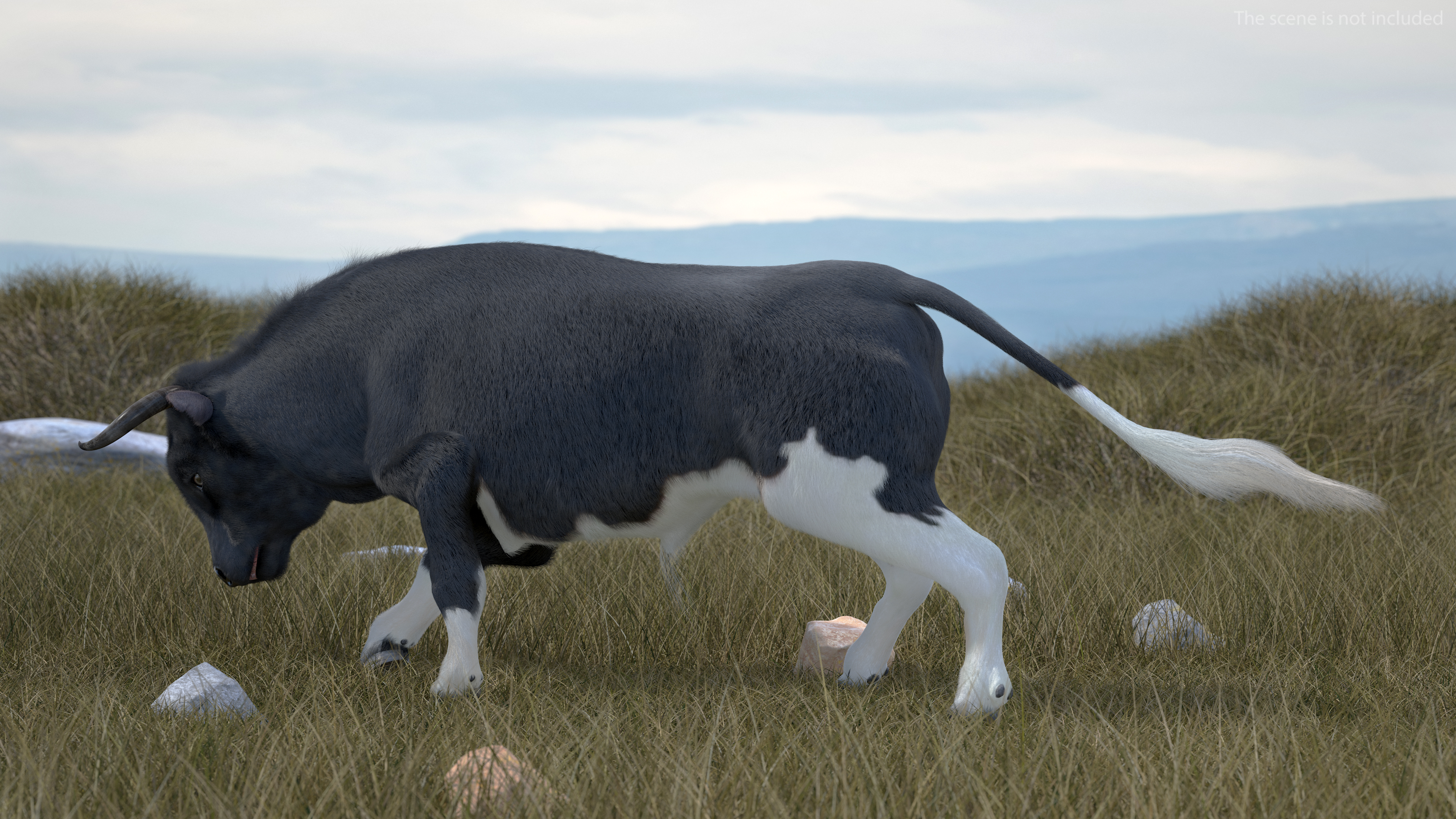 3D Black Bull Fur Rigged