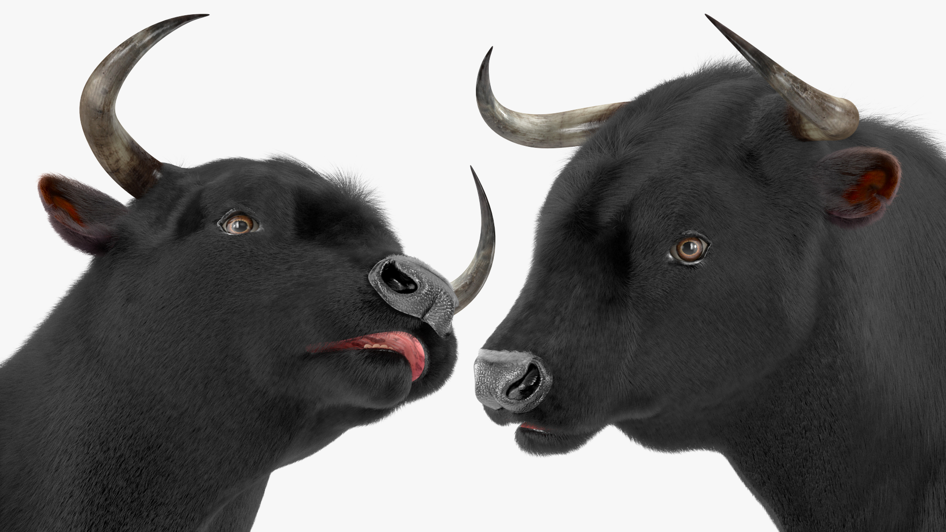 3D Black Bull Fur Rigged