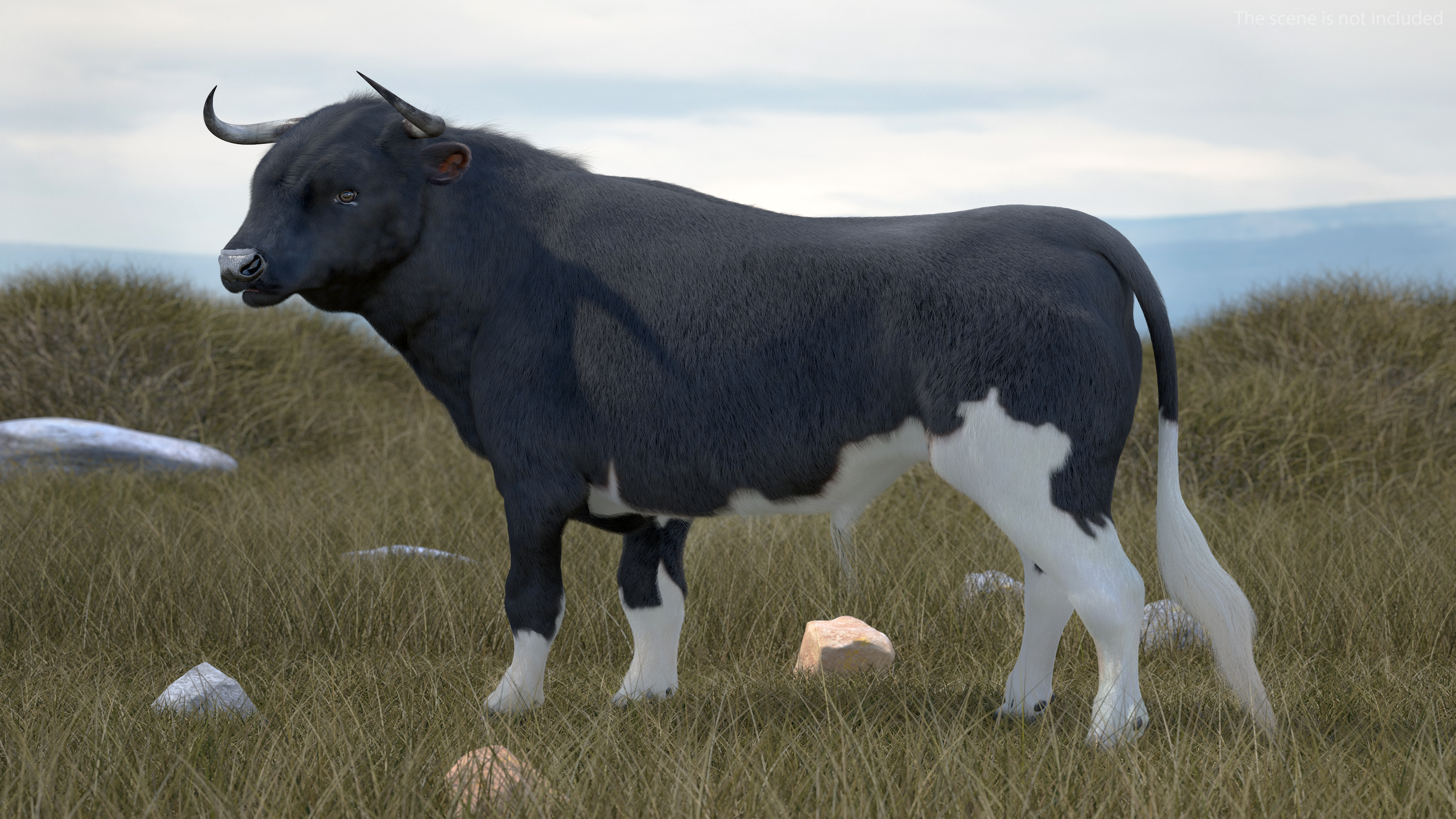 3D Black Bull Fur Rigged