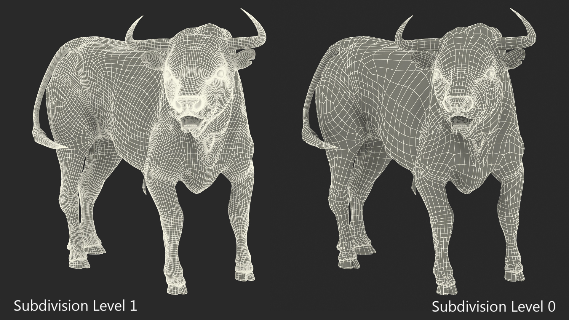 3D Black Bull Fur Rigged