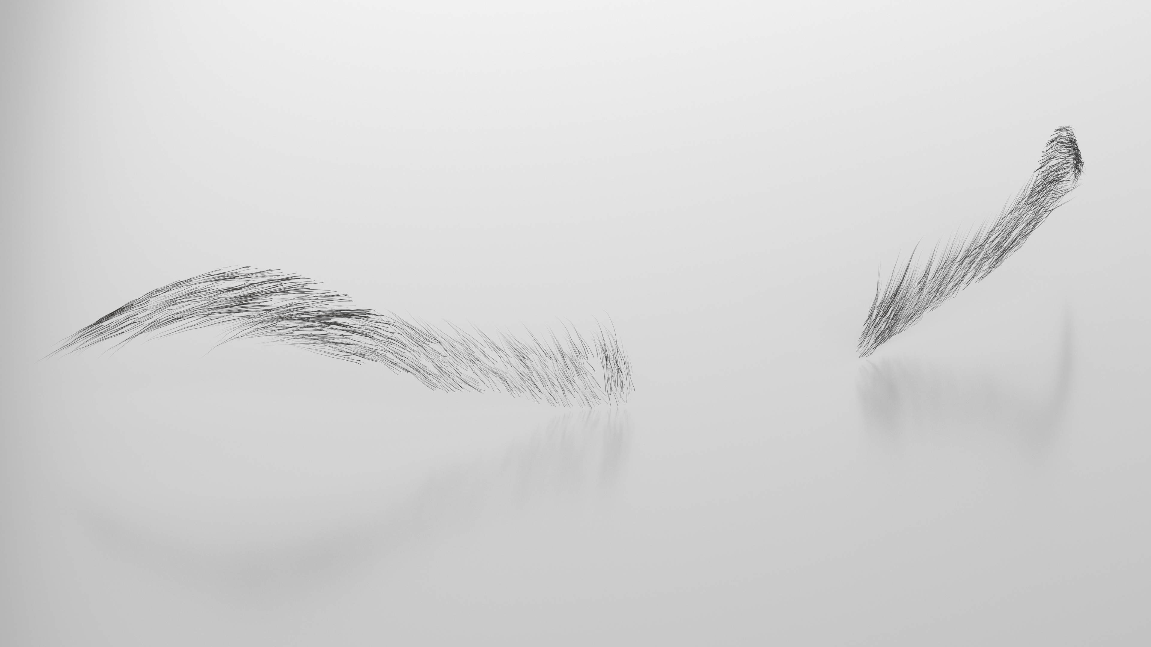Straight Eyebrows 3D