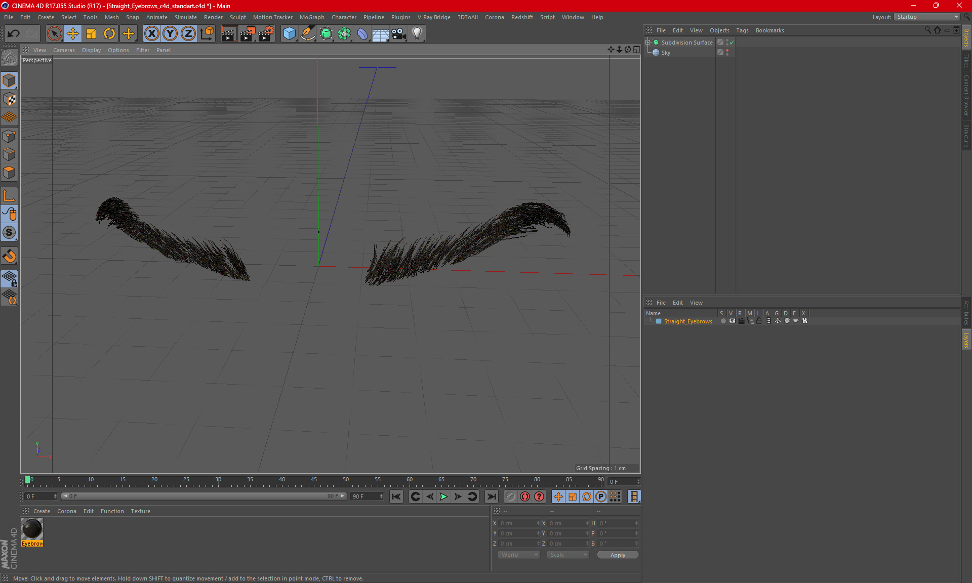 Straight Eyebrows 3D