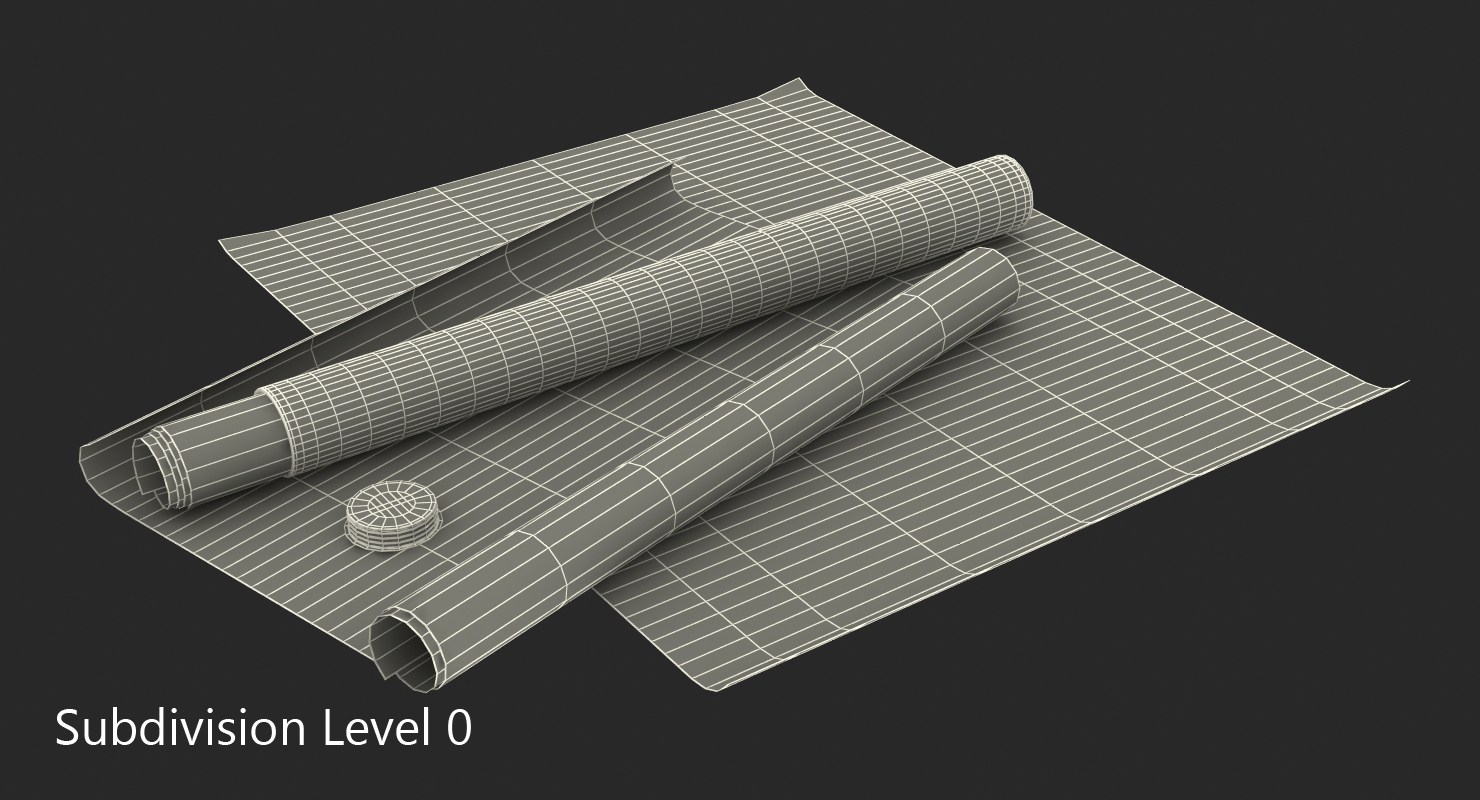 3D House Blueprints with Cardboard Tube