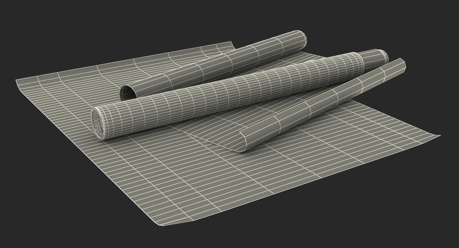 3D House Blueprints with Cardboard Tube