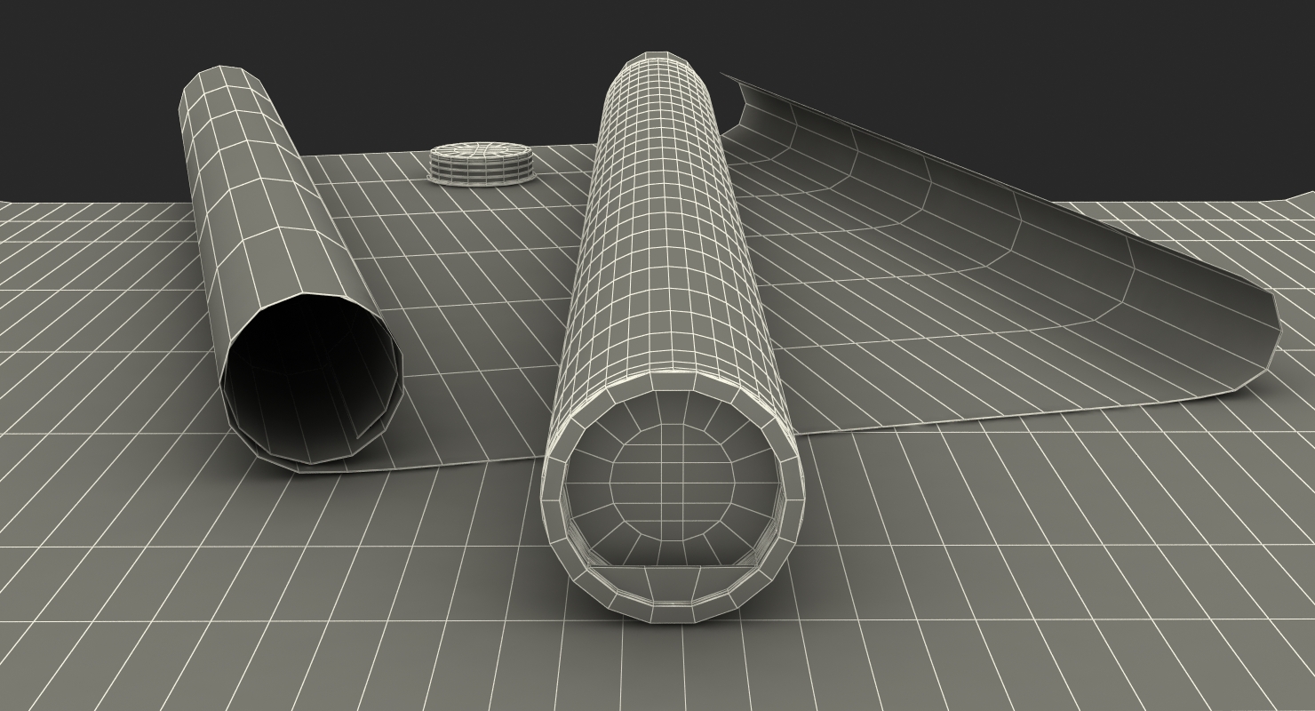 3D House Blueprints with Cardboard Tube