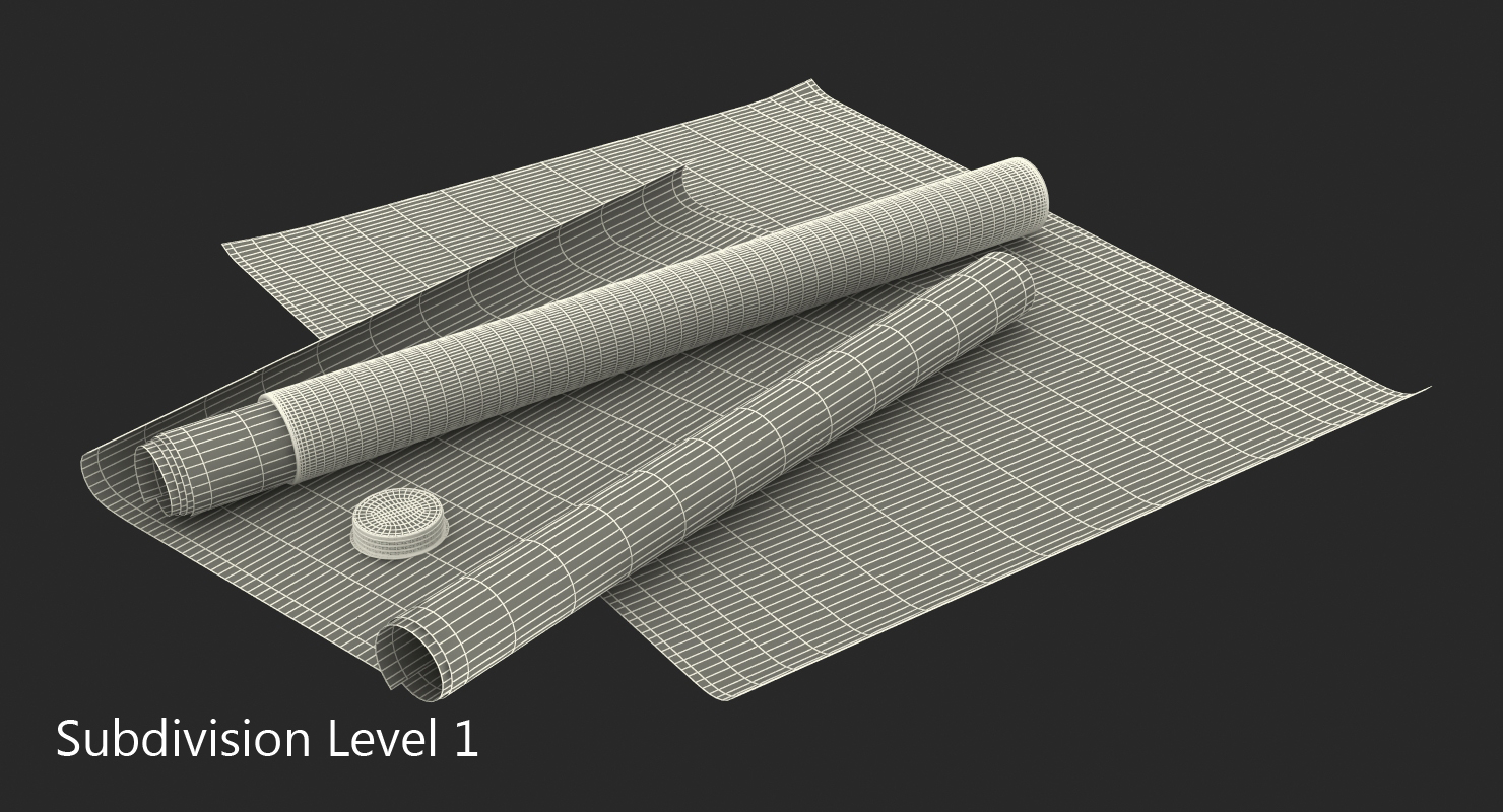 3D House Blueprints with Cardboard Tube