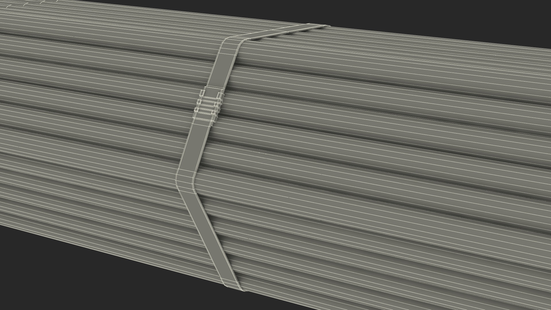 Thin Plastic Pipes Bundle 6 Meters 3D model