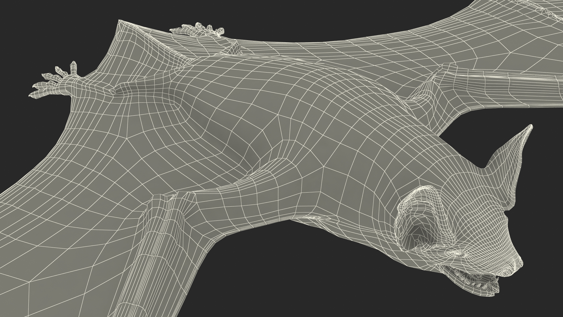 3D Black Bat Rigged