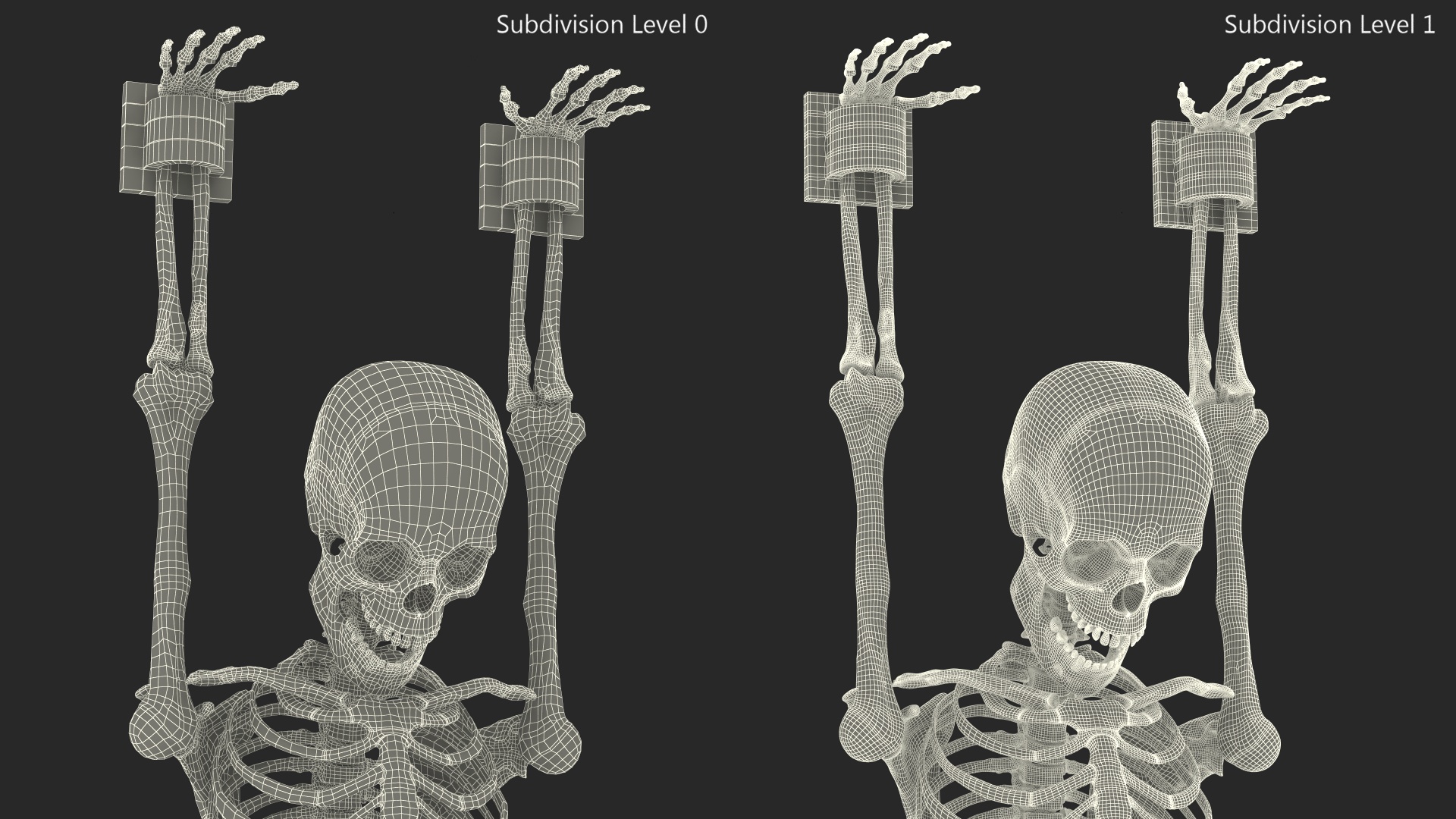 3D Human Male Remains Skeleton Shackled