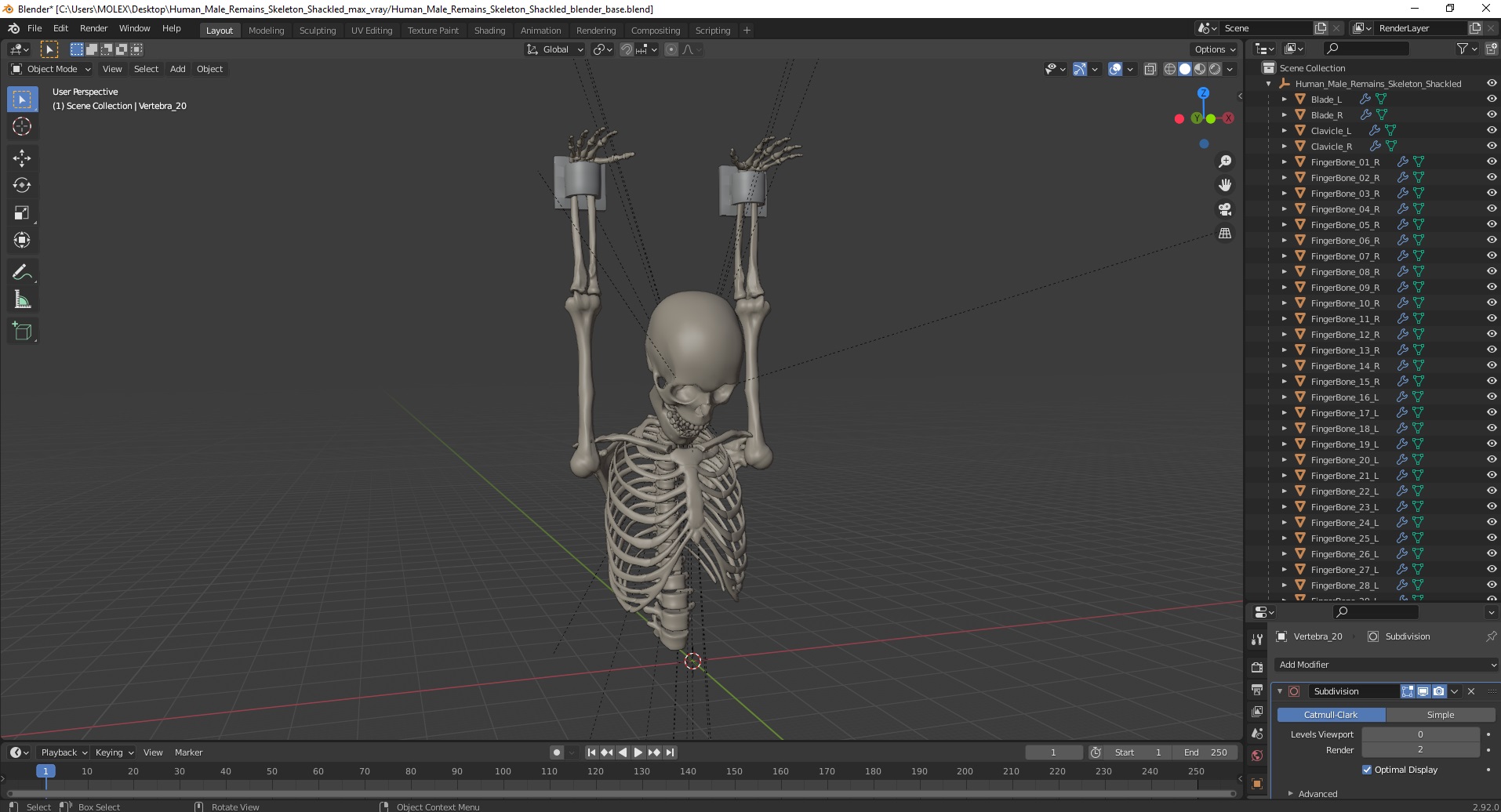 3D Human Male Remains Skeleton Shackled