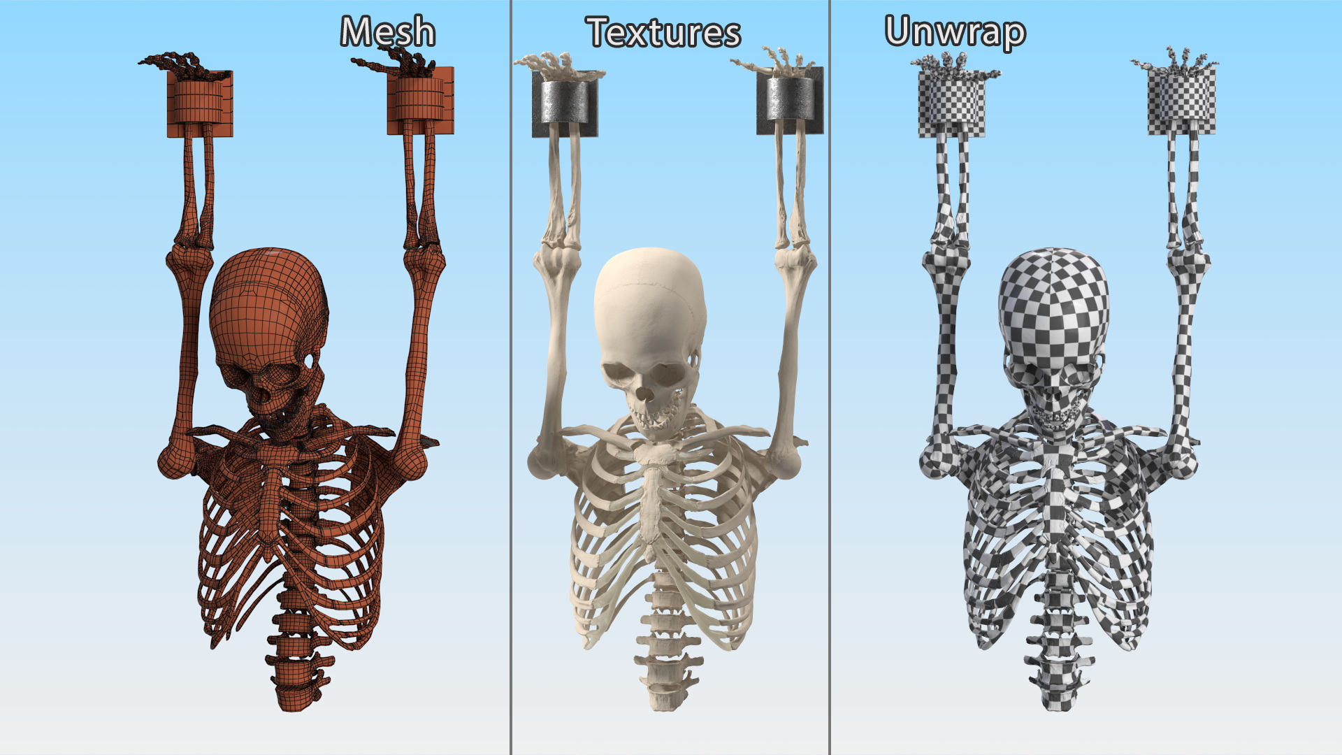 3D Human Male Remains Skeleton Shackled