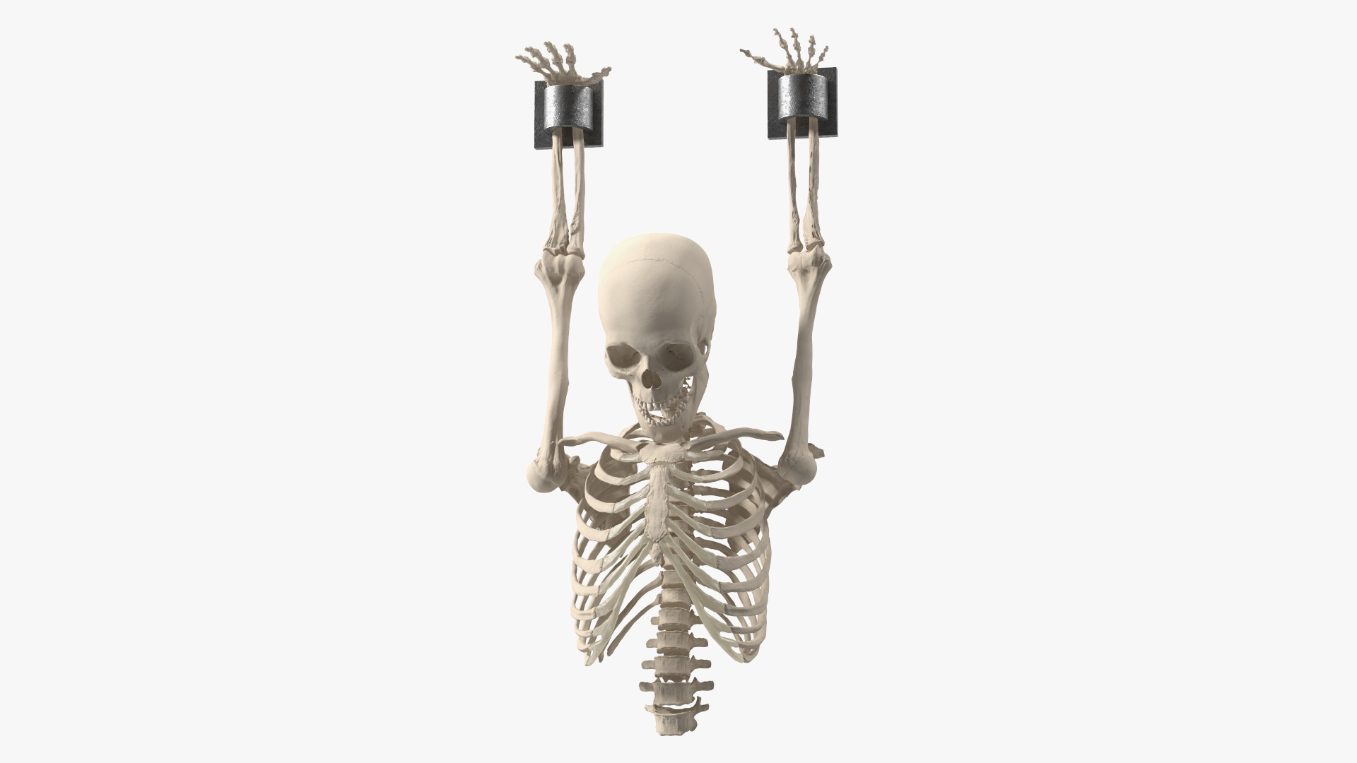 3D Human Male Remains Skeleton Shackled
