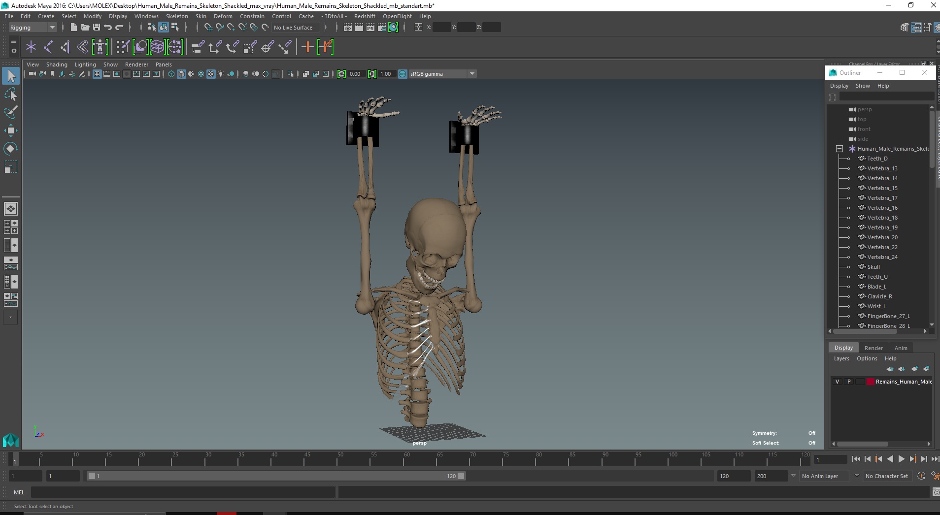 3D Human Male Remains Skeleton Shackled