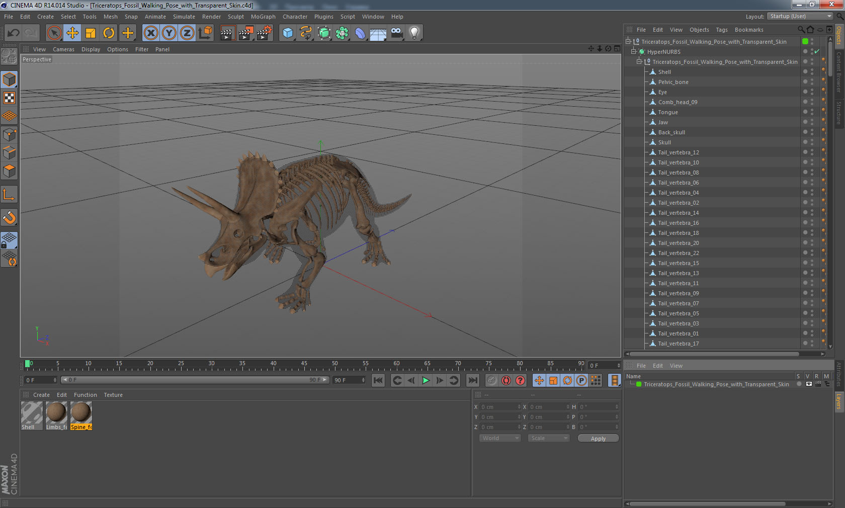 3D Triceratops Fossil Walking Pose with Transparent Skin model