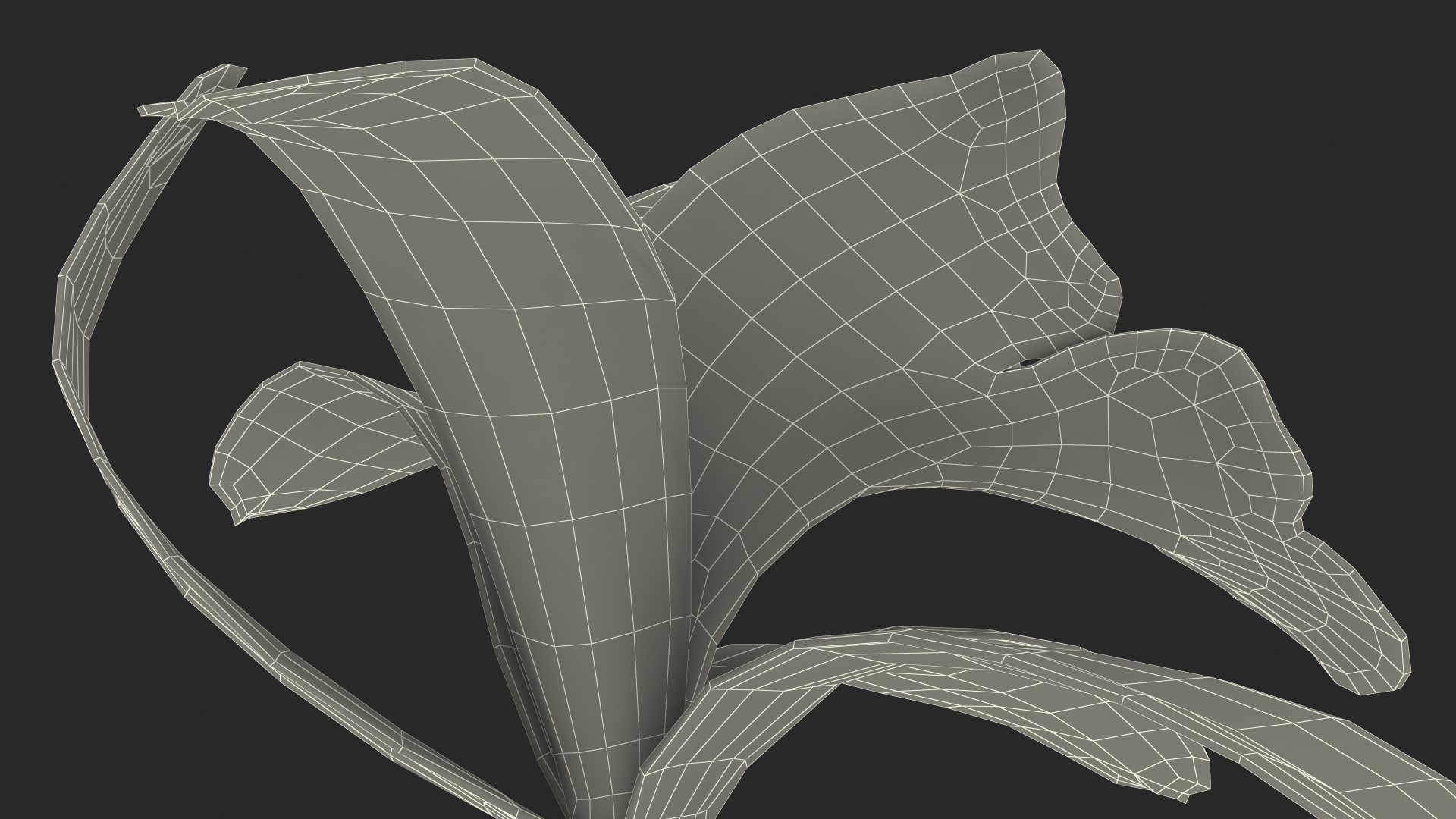 Orchid Flower Yellow Fur 3D model