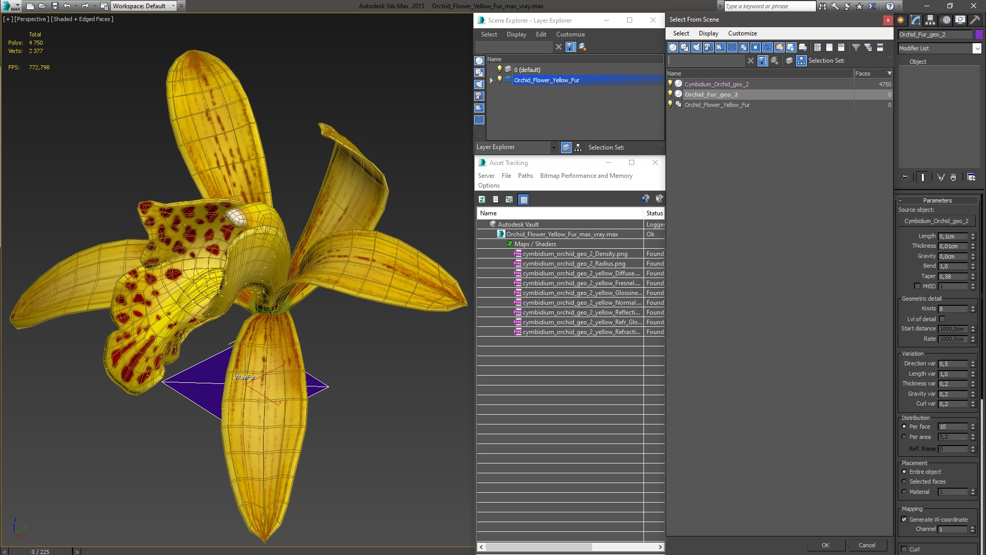 Orchid Flower Yellow Fur 3D model