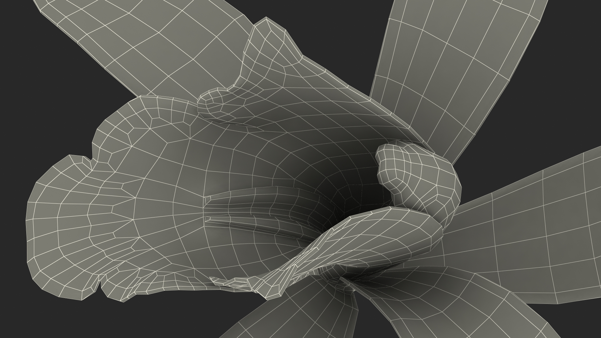 Orchid Flower Yellow Fur 3D model