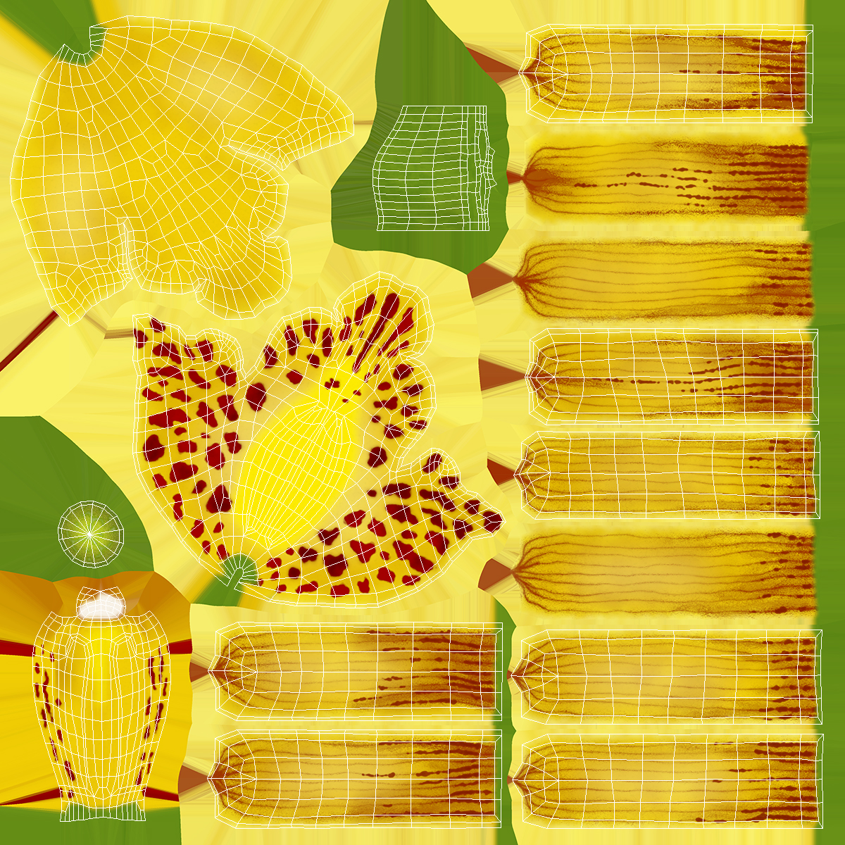 Orchid Flower Yellow Fur 3D model