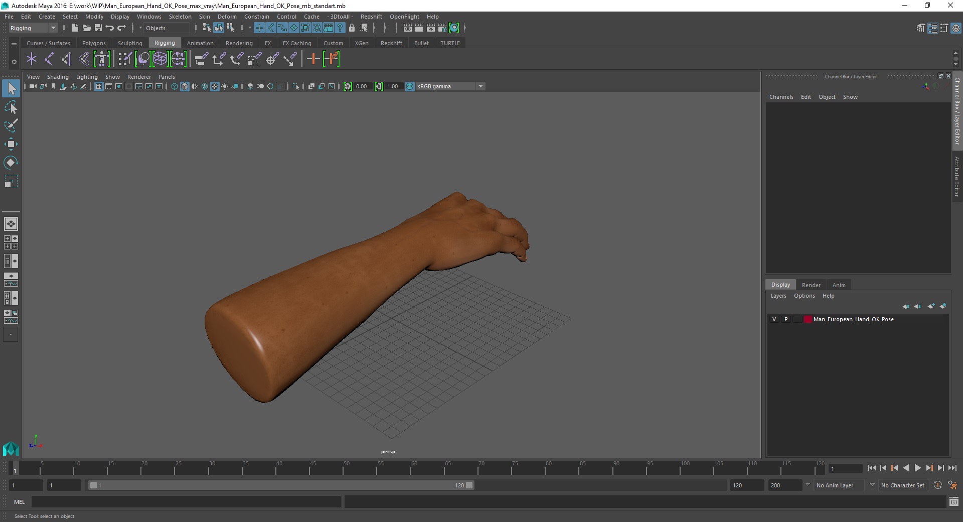 3D model Man European Hand OK Pose