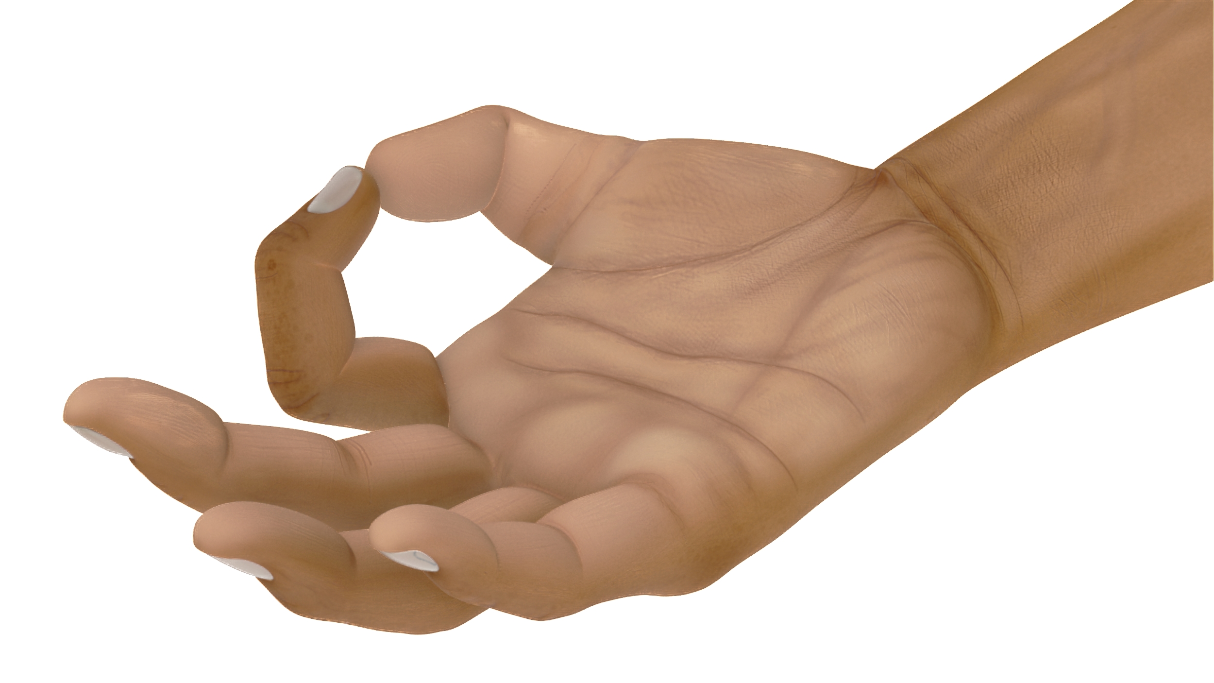 3D model Man European Hand OK Pose