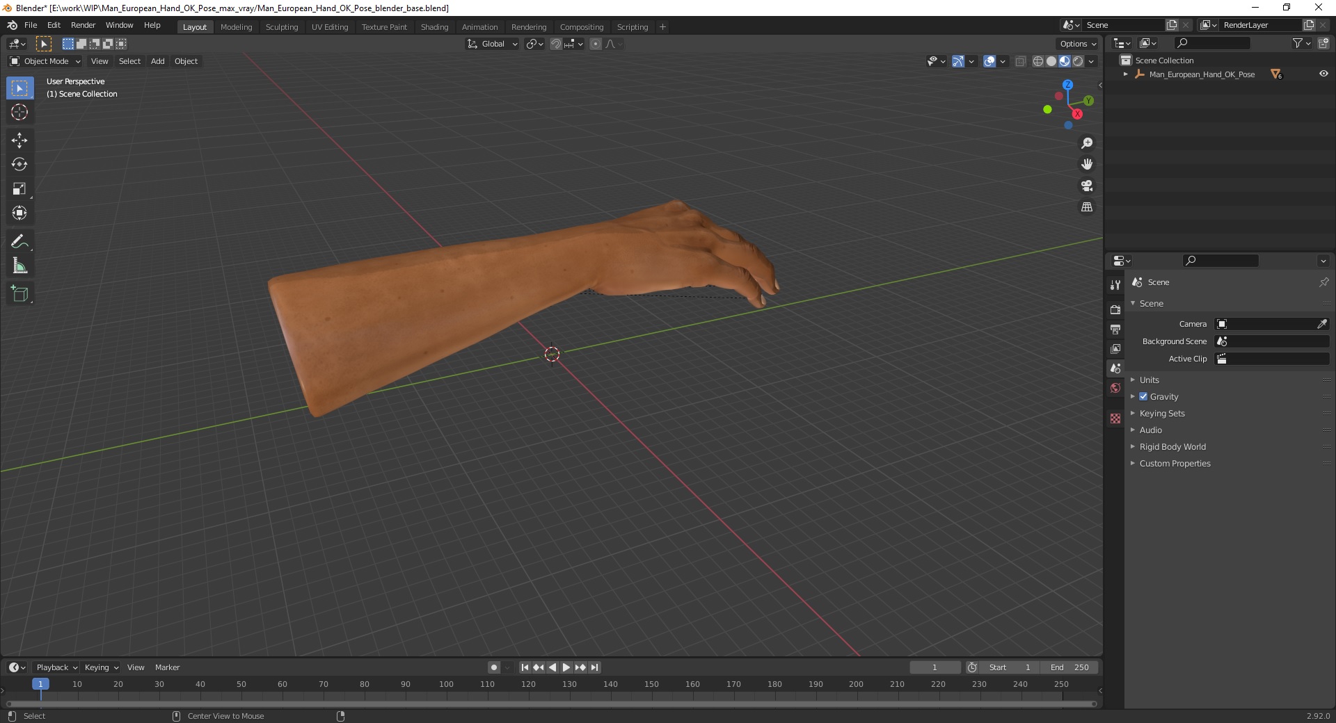 3D model Man European Hand OK Pose