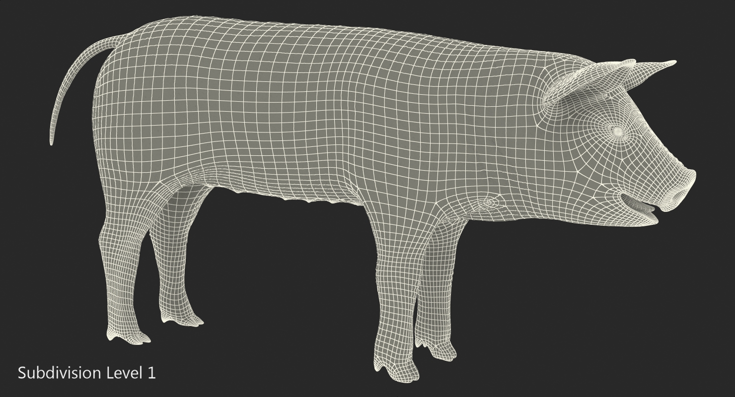 3D Pig Piglet Pietrain Rigged