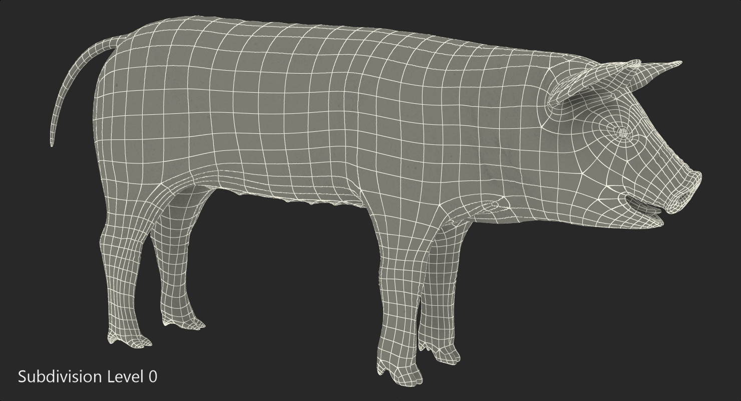 3D Pig Piglet Pietrain Rigged