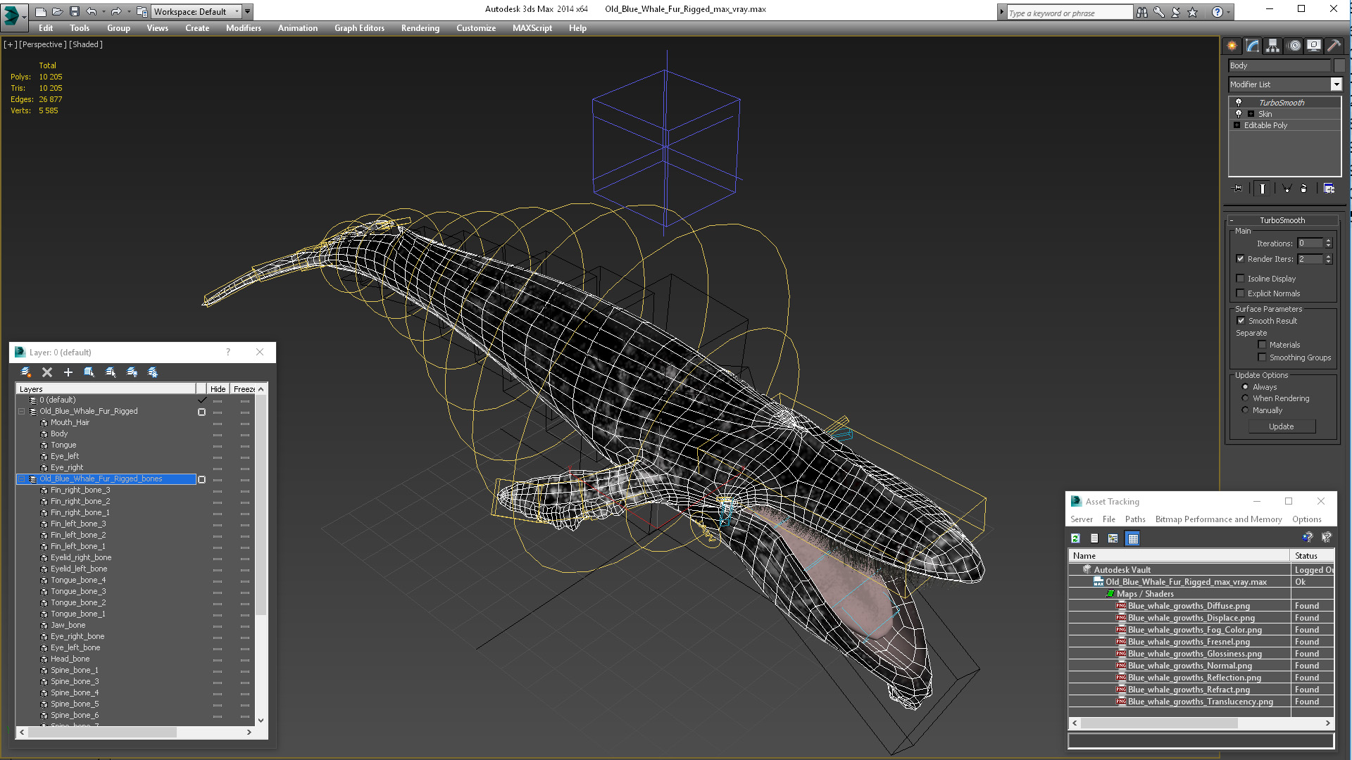 3D model Old Blue Whale Fur Rigged