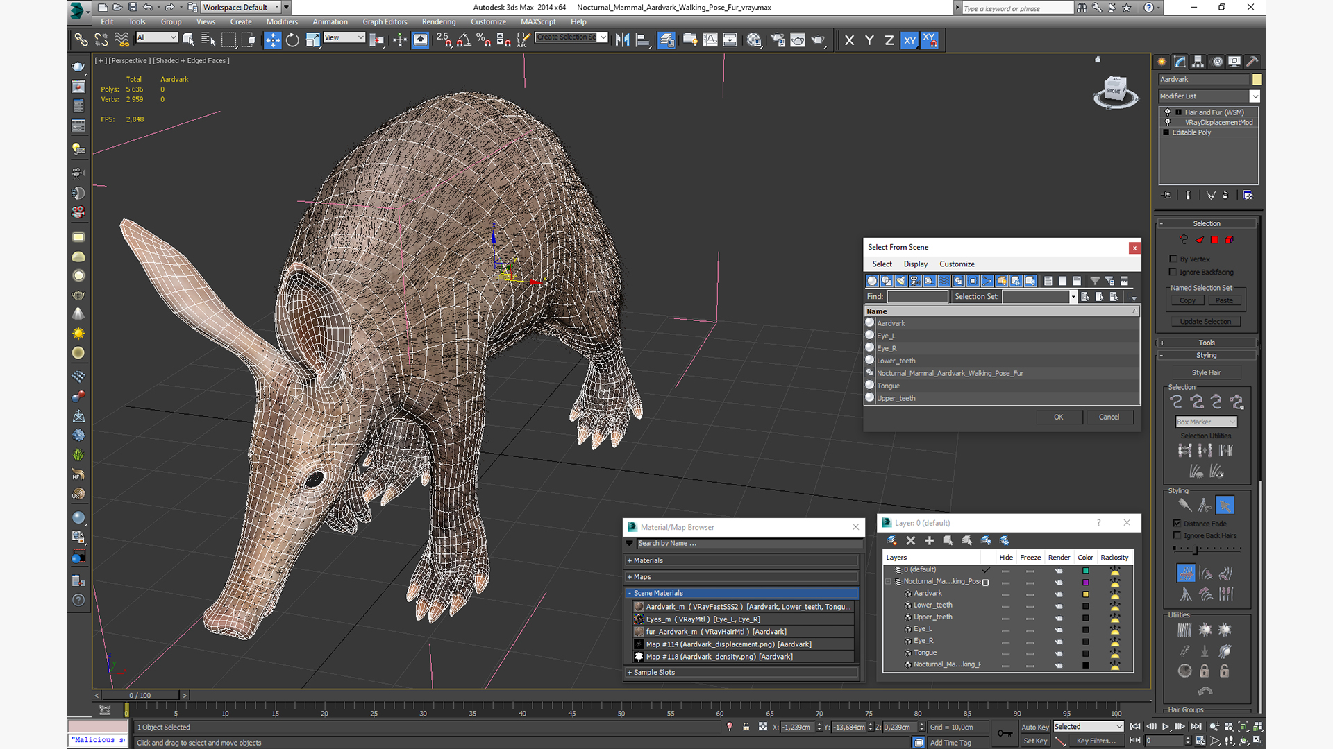 Nocturnal Mammal Aardvark Walking Pose Fur 3D