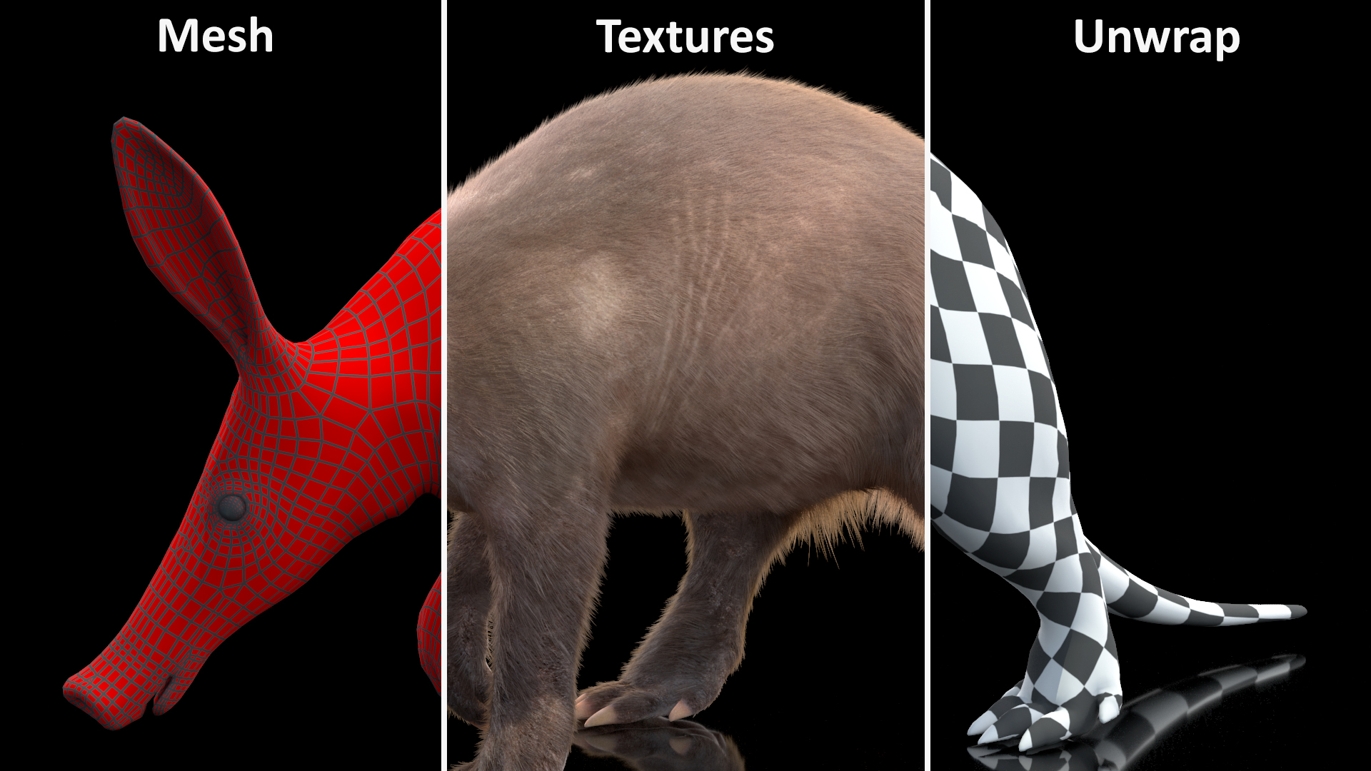 Nocturnal Mammal Aardvark Walking Pose Fur 3D