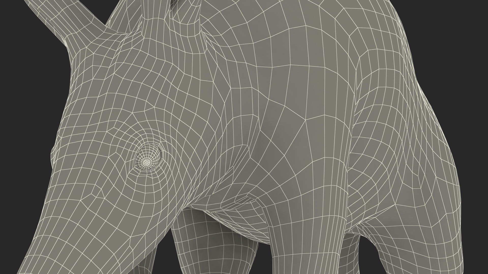 Nocturnal Mammal Aardvark Walking Pose Fur 3D