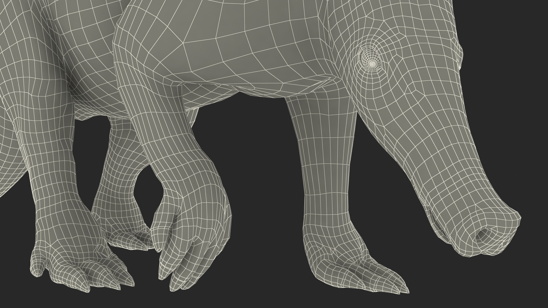 Nocturnal Mammal Aardvark Walking Pose Fur 3D