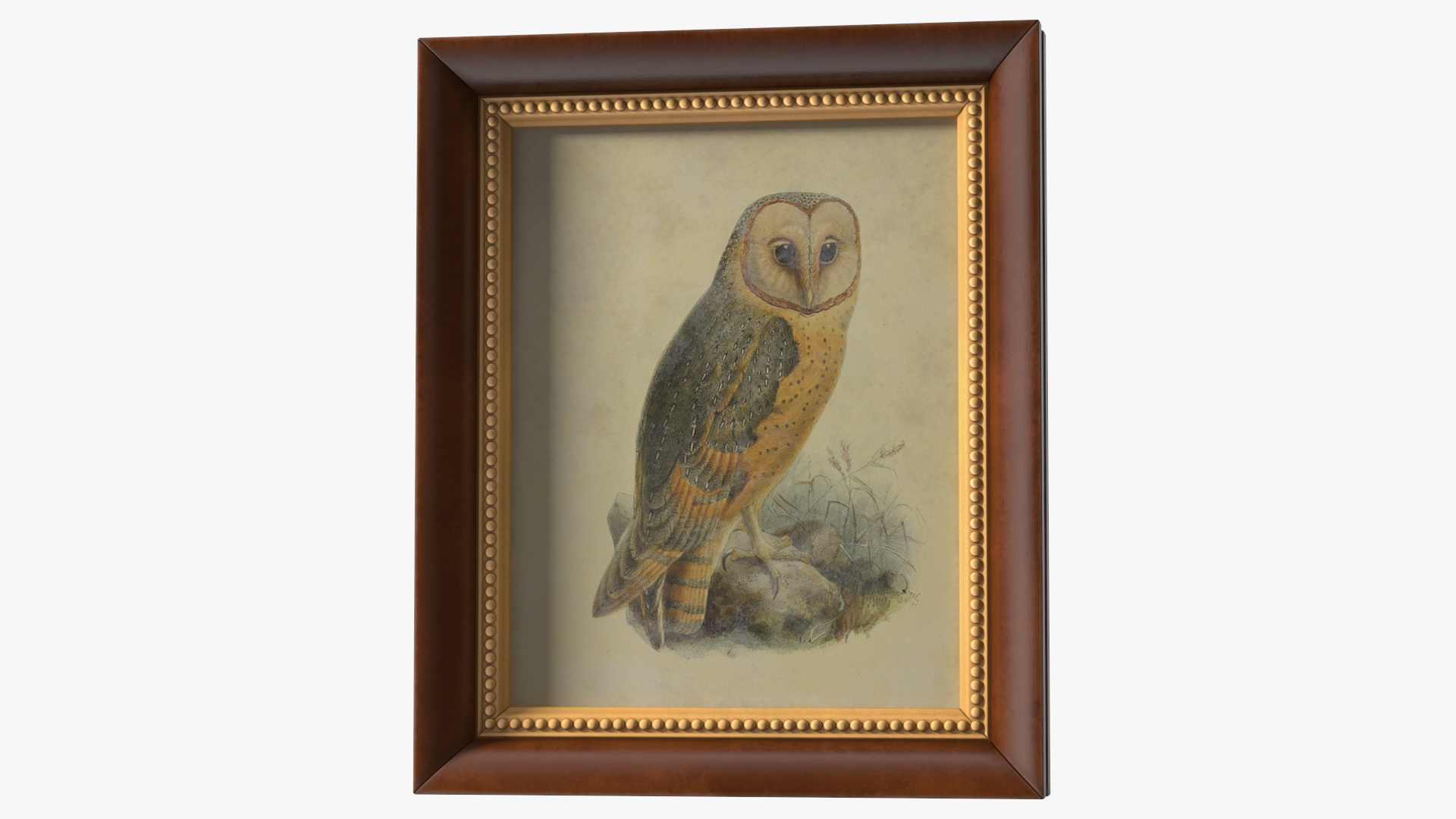 3D Owl Picture in Vintage Frame model