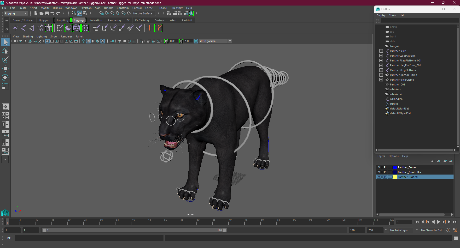 Black Panther Rigged for Maya 3D model