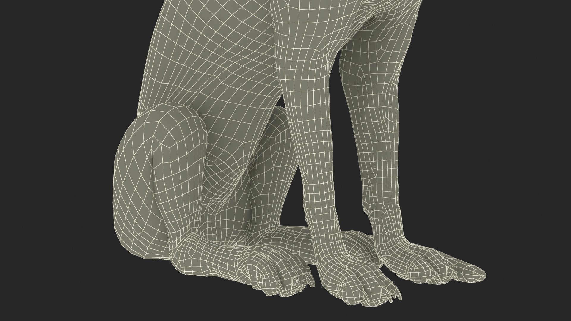 3D model Wild Red Fox Sitting Pose