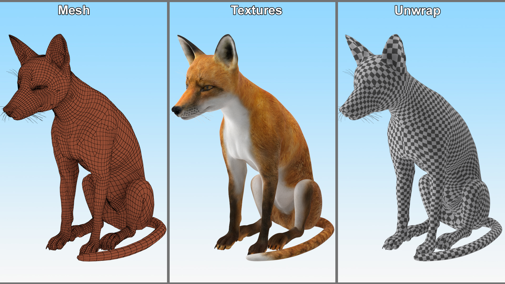 3D model Wild Red Fox Sitting Pose
