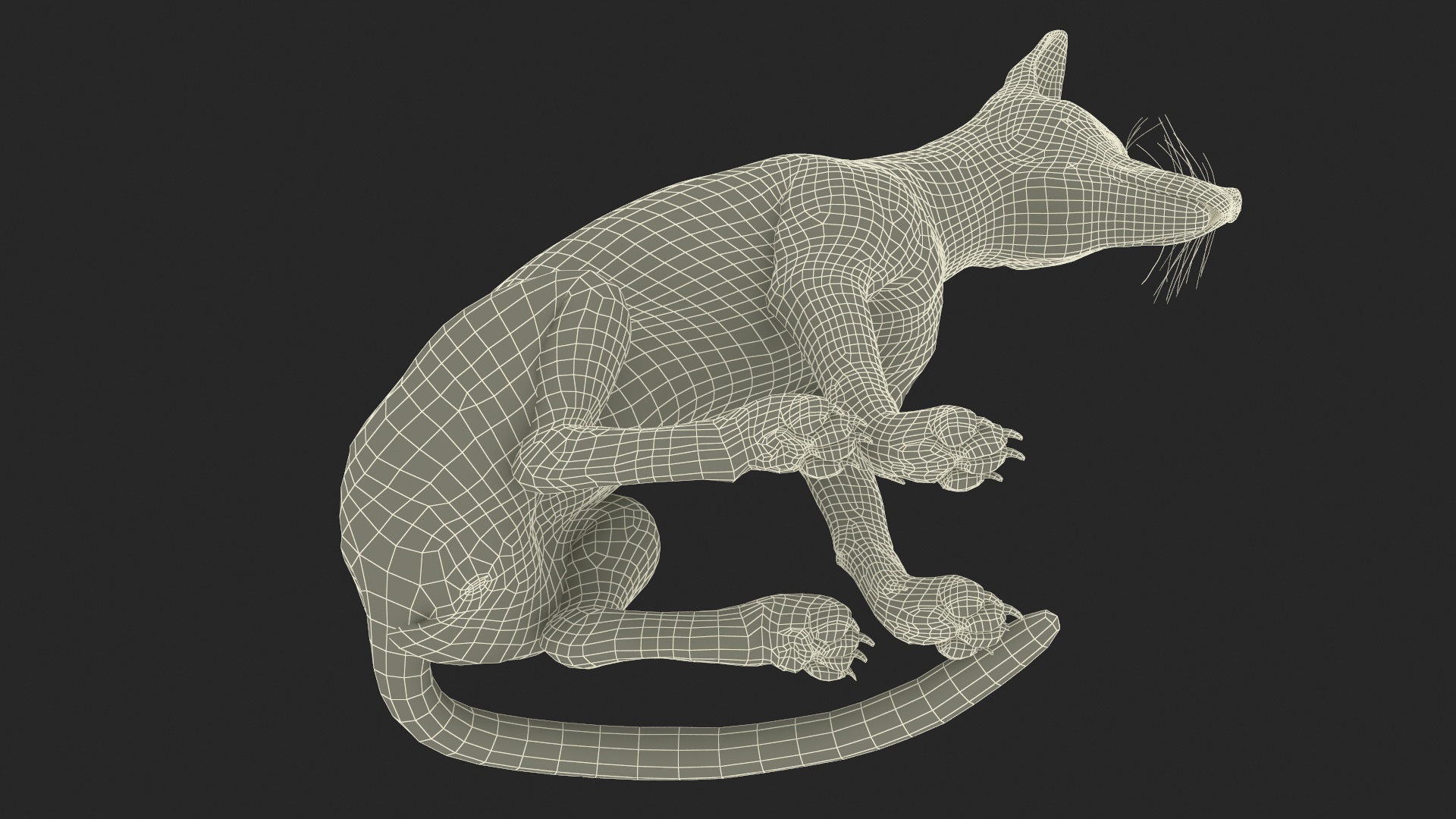 3D model Wild Red Fox Sitting Pose
