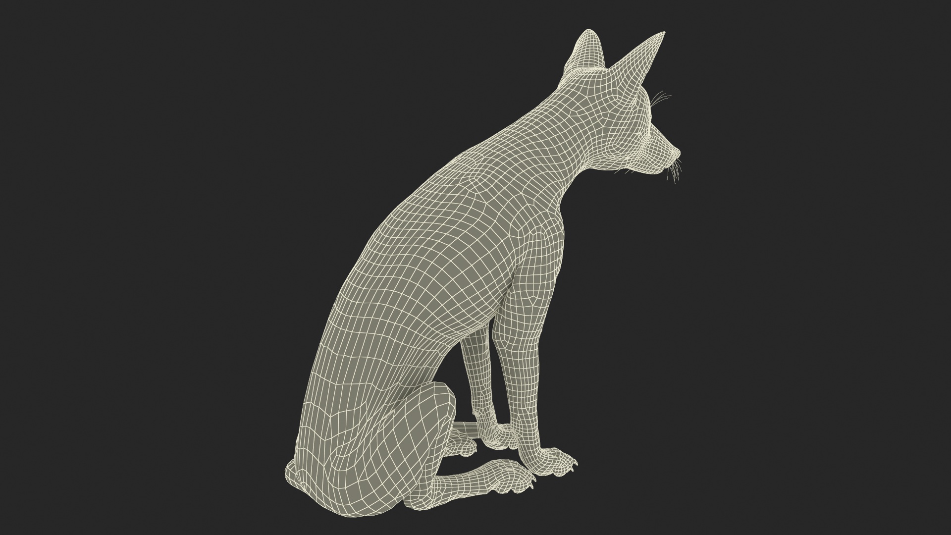 3D model Wild Red Fox Sitting Pose