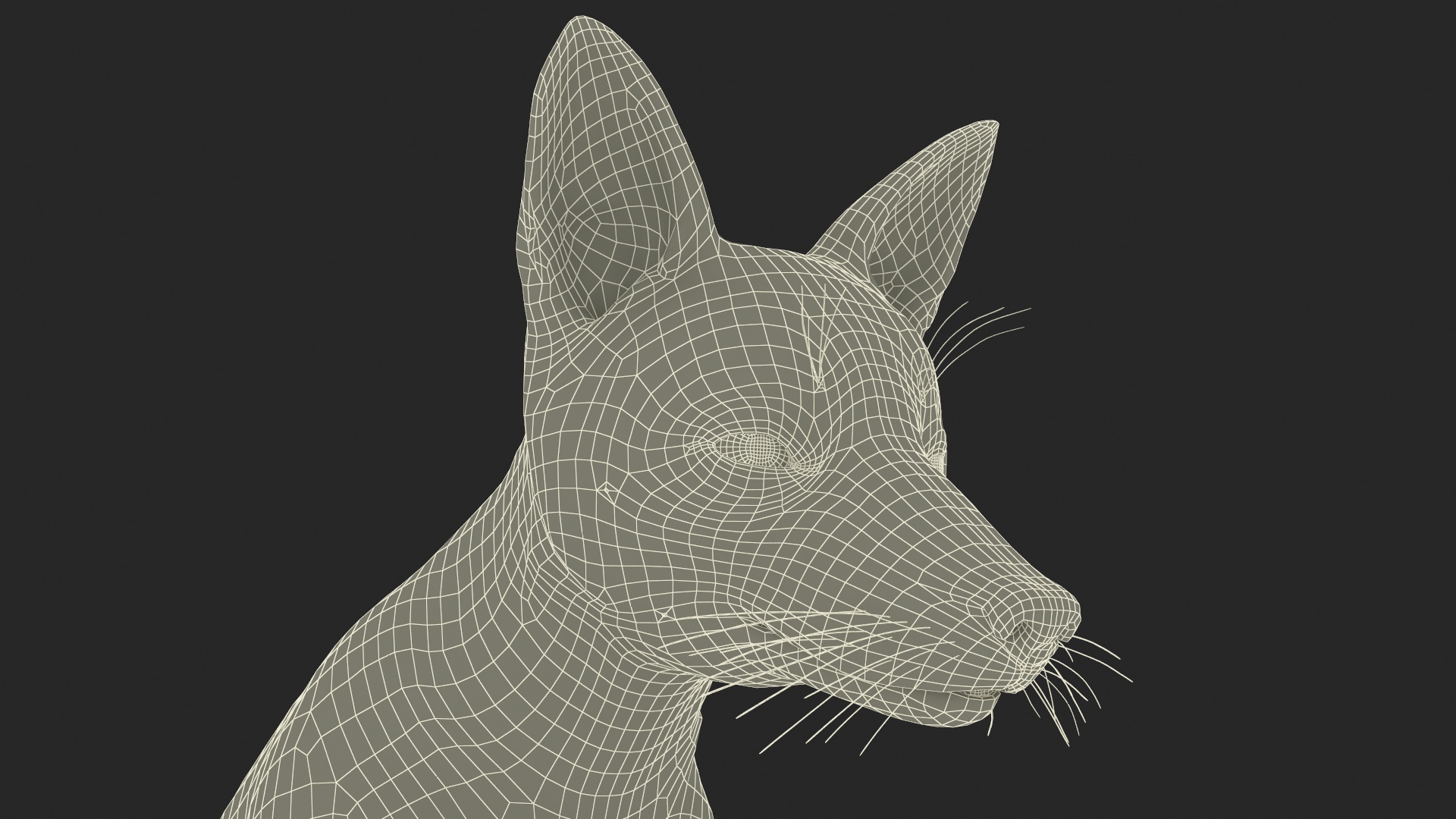 3D model Wild Red Fox Sitting Pose