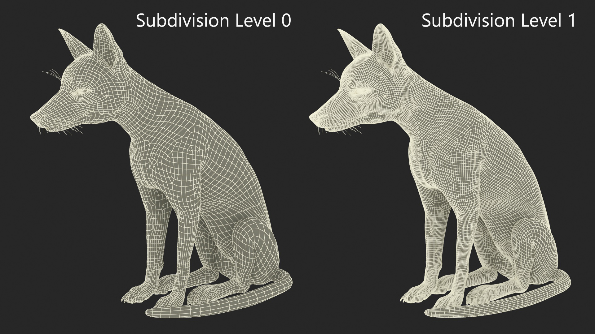 3D model Wild Red Fox Sitting Pose