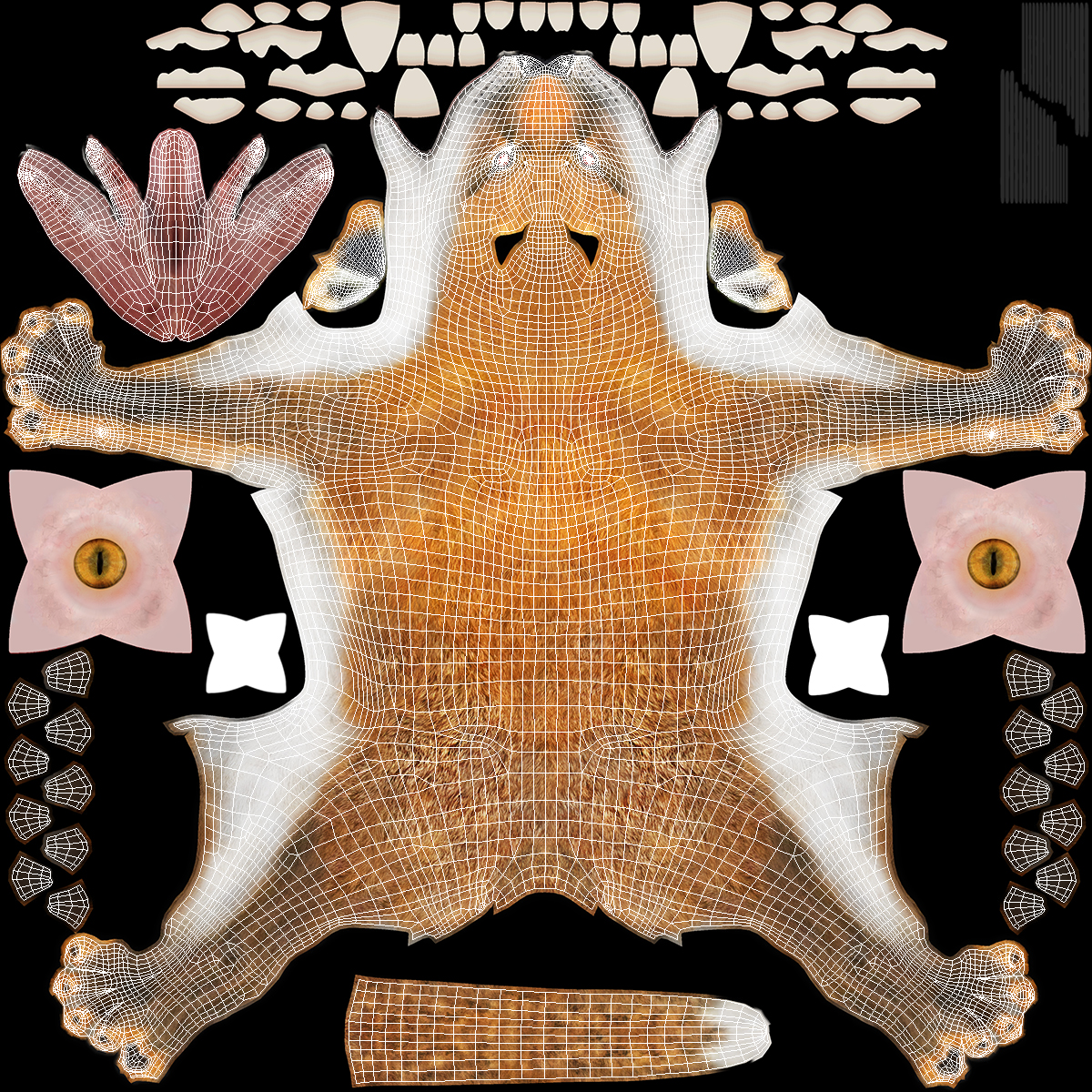 3D model Wild Red Fox Sitting Pose