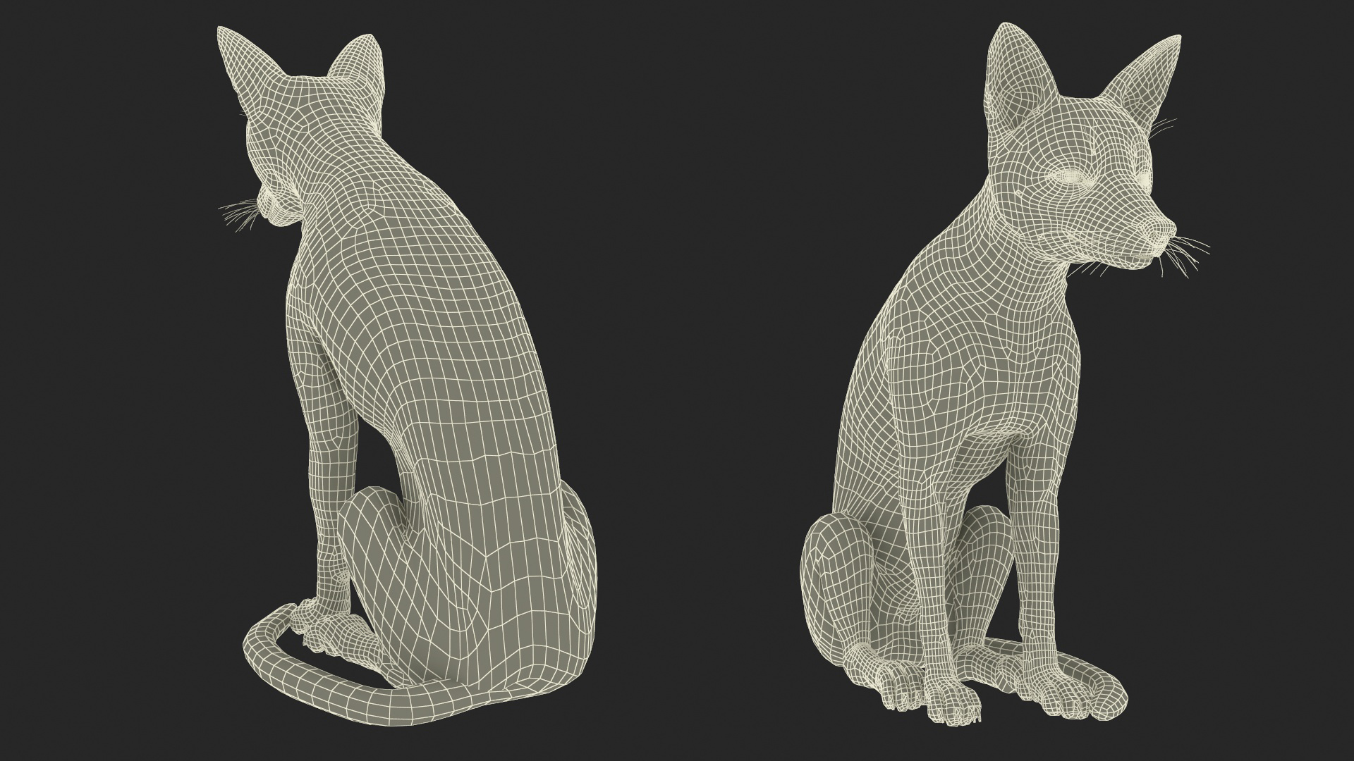 3D model Wild Red Fox Sitting Pose