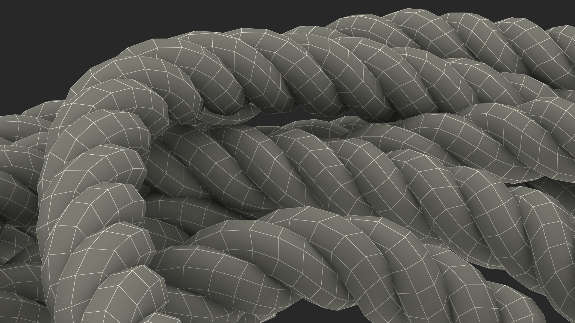 Pure2Improve Workout Battle Rope 3D