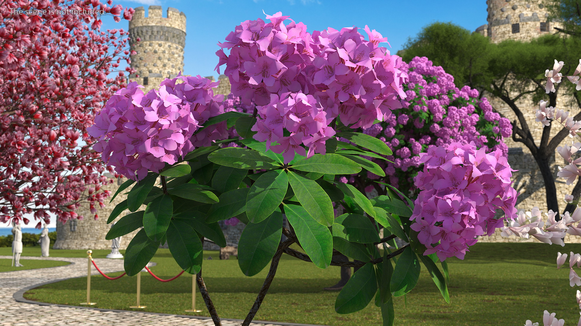 3D Purple Rhododendron Branch
