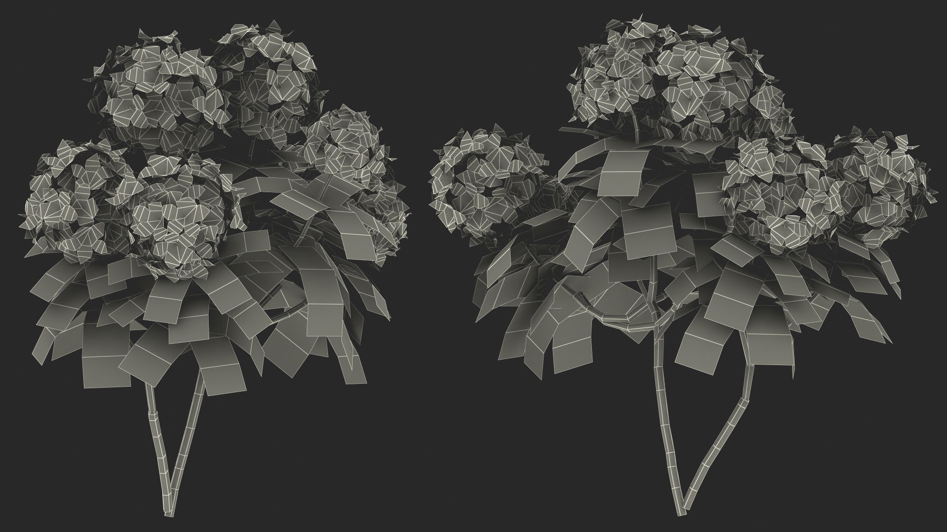 3D Purple Rhododendron Branch