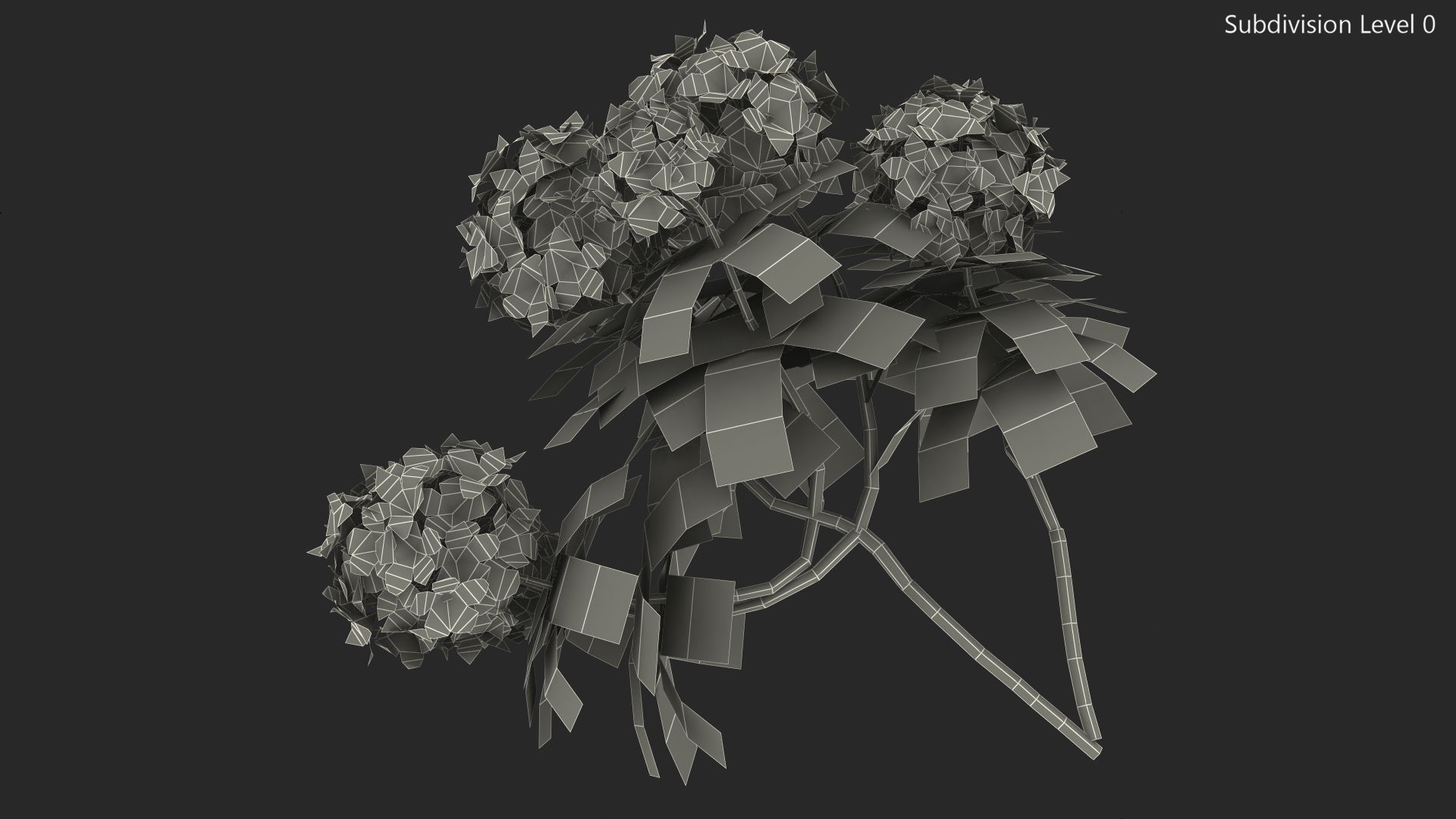 3D Purple Rhododendron Branch