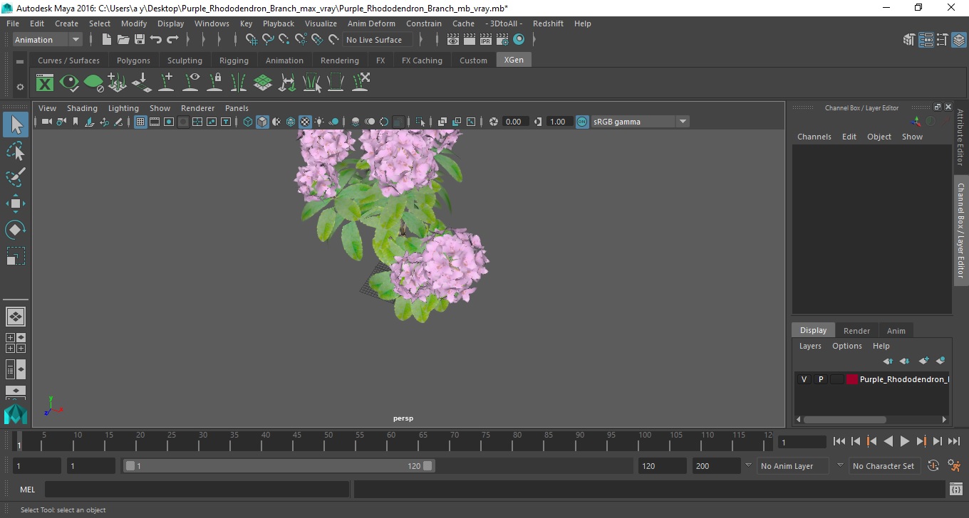 3D Purple Rhododendron Branch